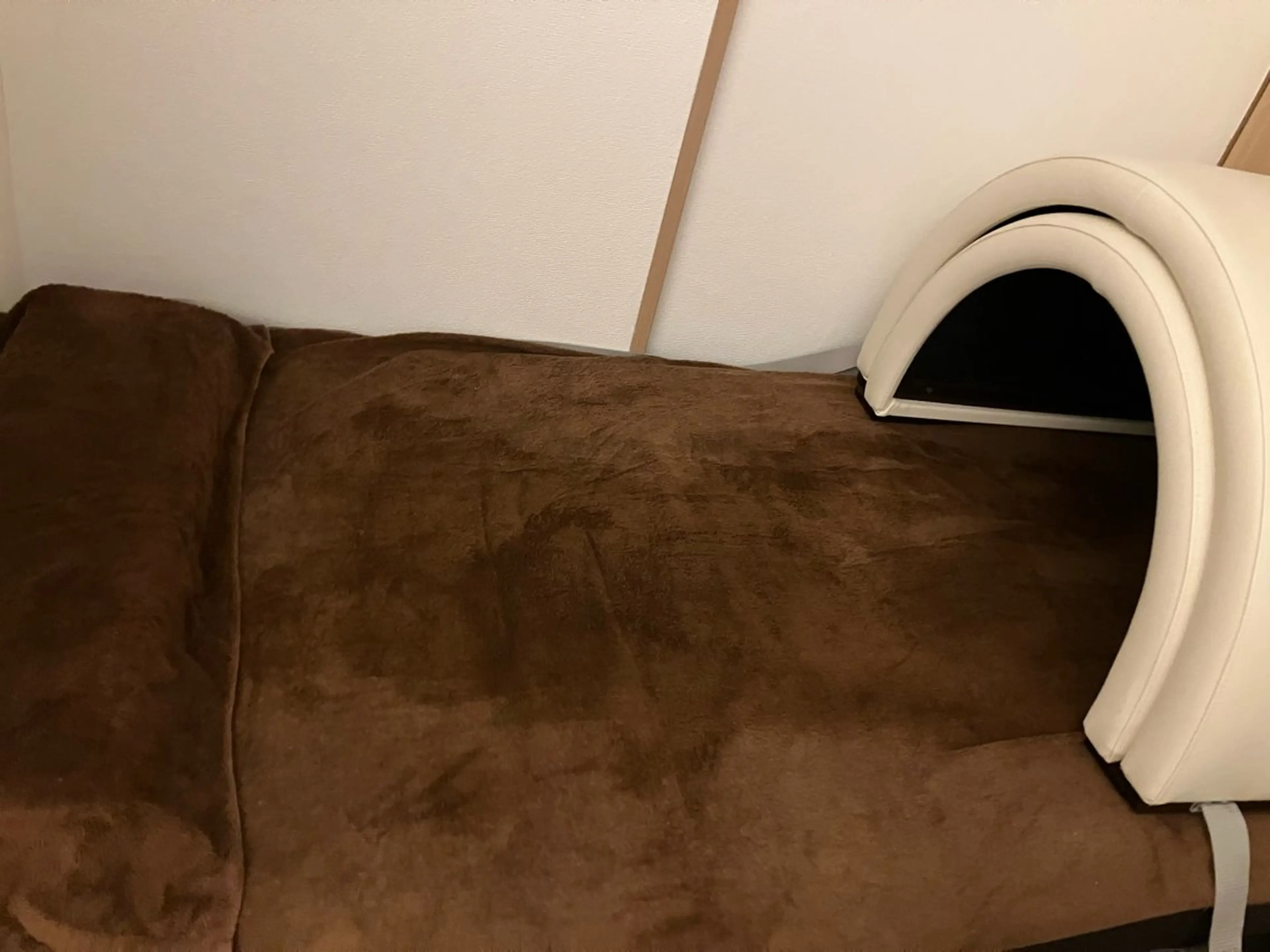 その他 温＋(おんぷらす)所属・温＋ （おんぷらす）のその他イメージ