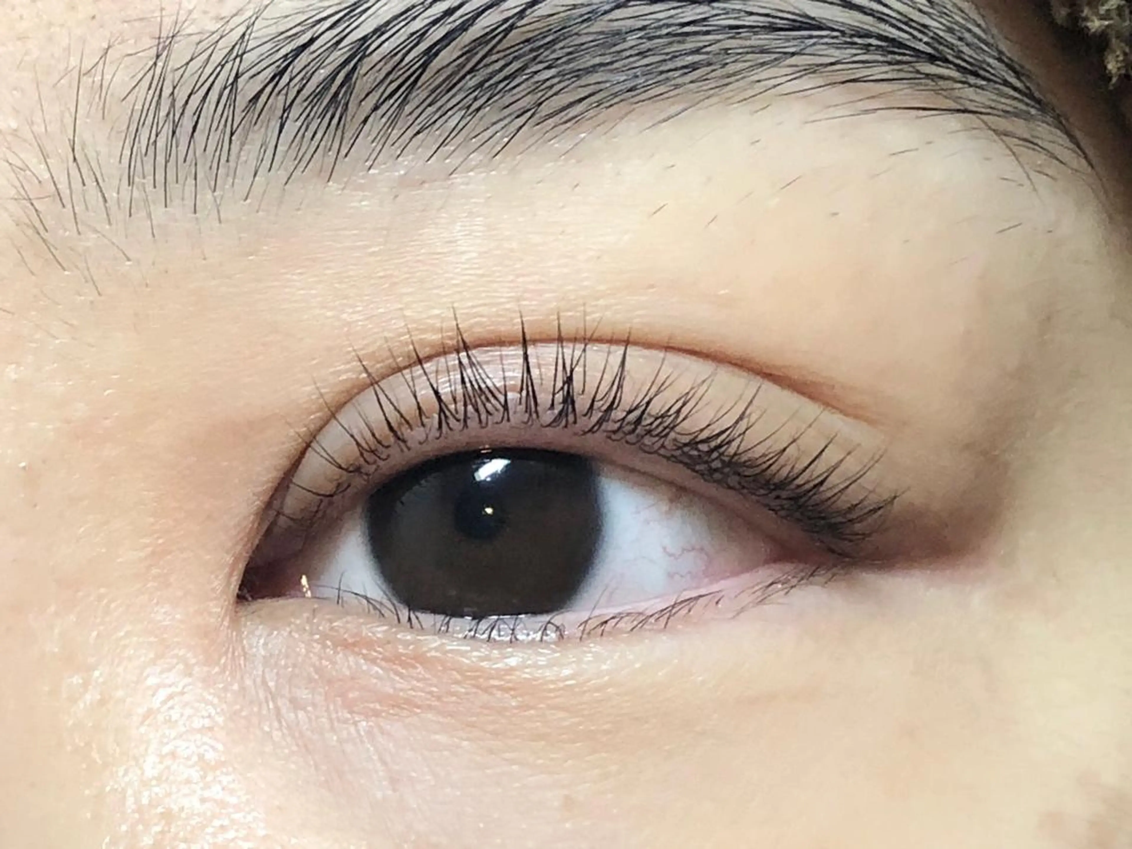 マツエク・マツパ パリジェンヌラッシュリフト Lino me. かとうのマツエク・マツパデザイン