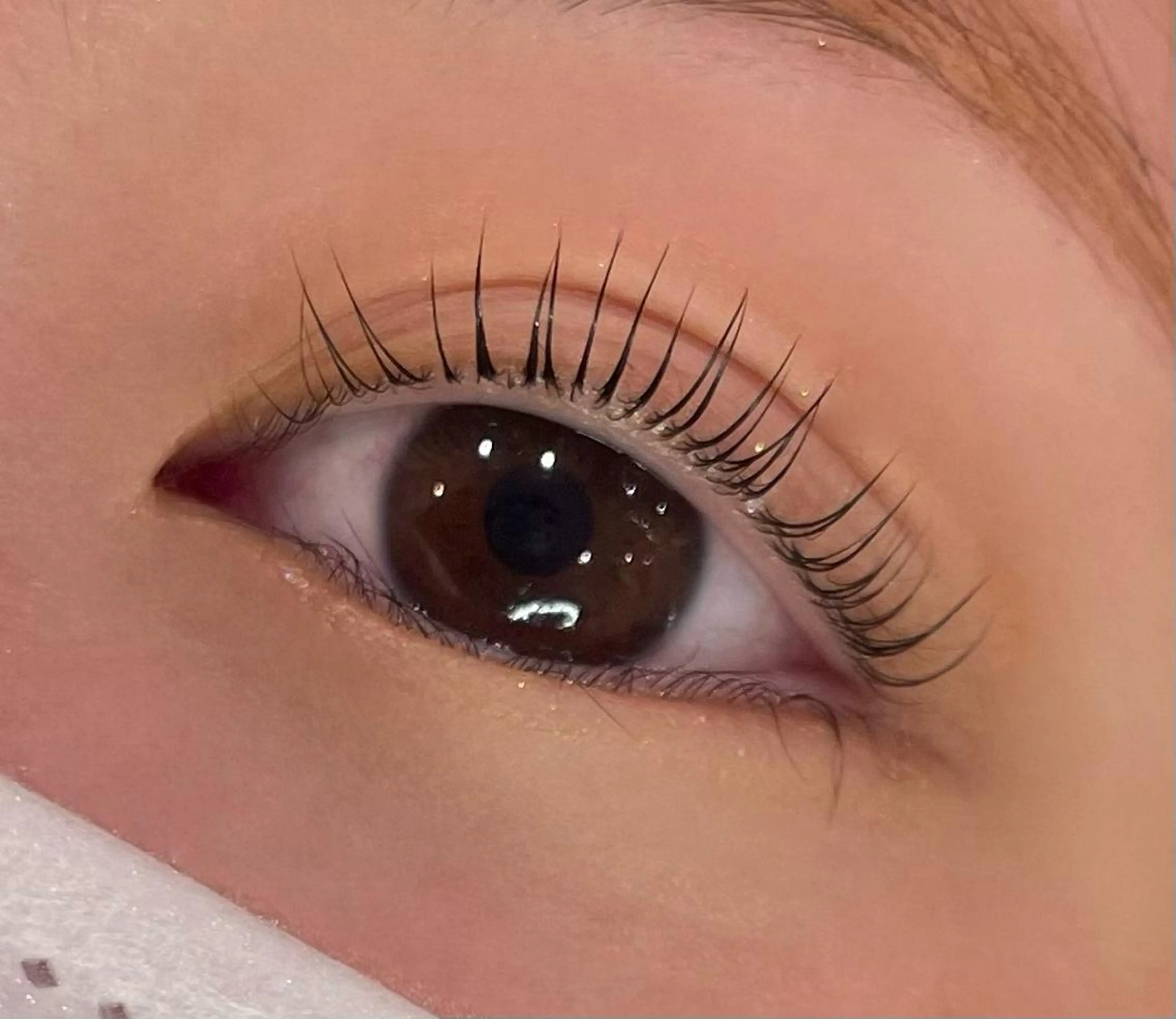 マツエク・マツパ アイラッシュリゾートカハラ 国立店所属・Kahala 無料練習モデルのマツエク・マツパデザイン