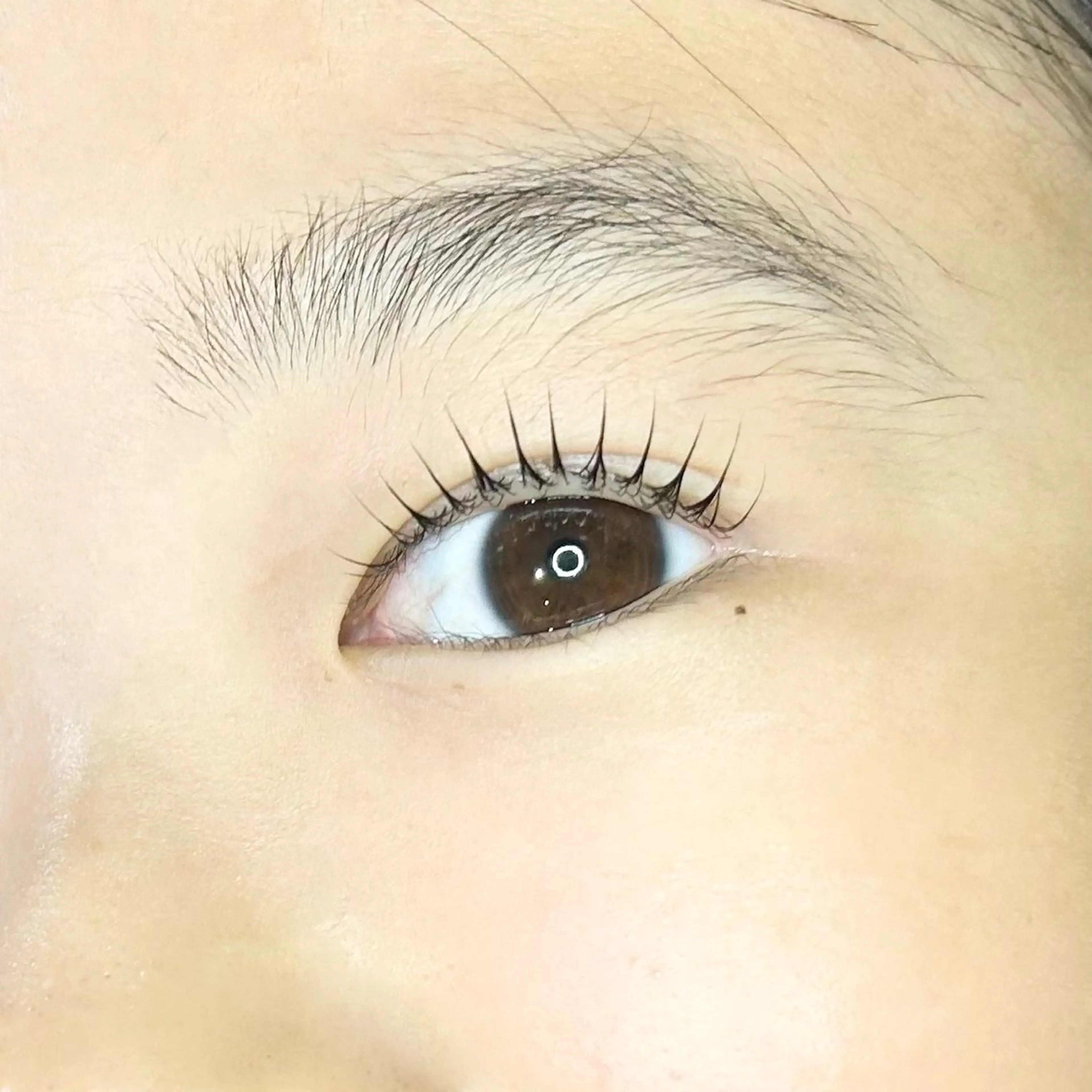 マツエク・マツパ LC尾張旭店所属・榊原 理恵のマツエク・マツパデザイン