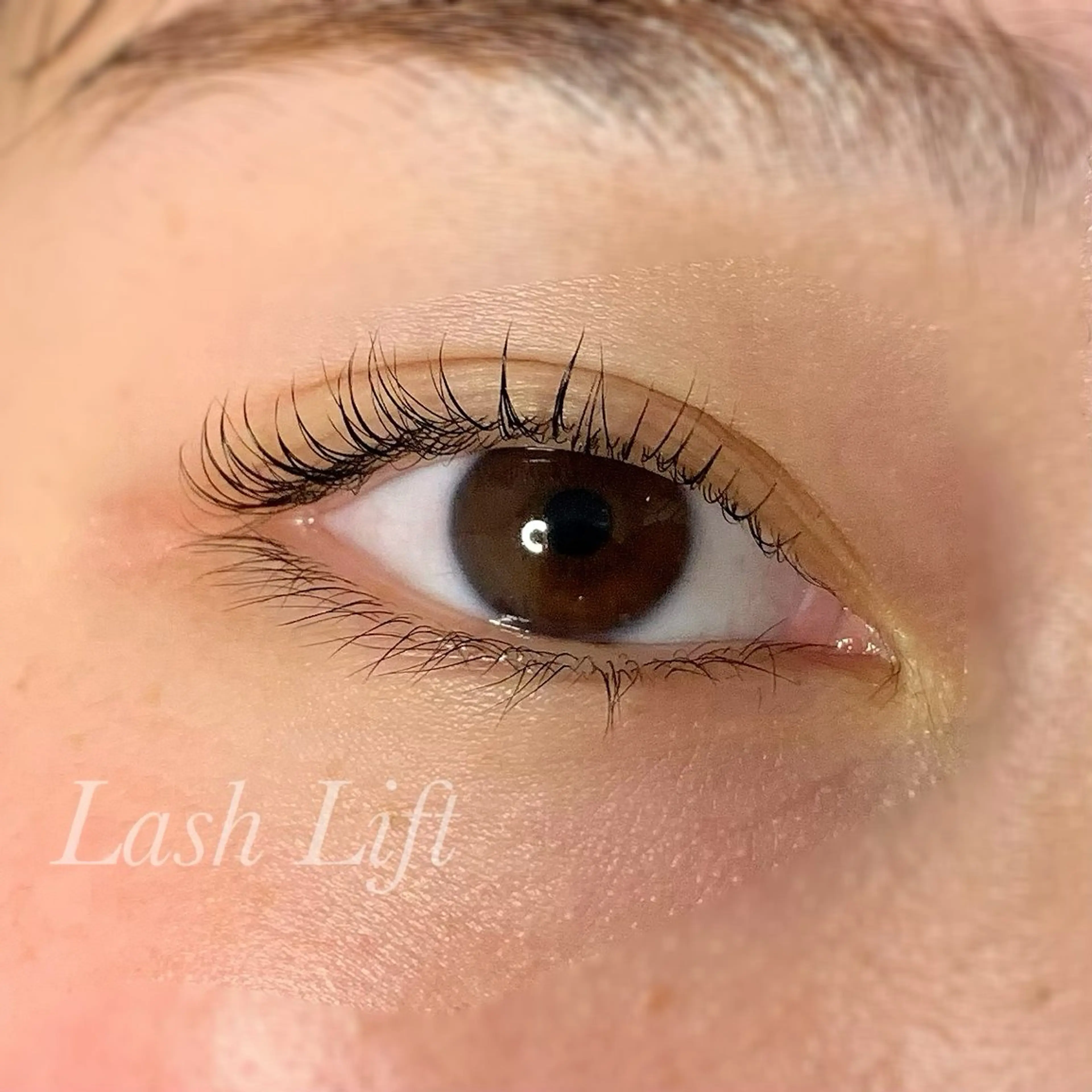 マツエク・マツパ まつげパーマ マツパ Ayumi.pro 🍆N《4階》のマツエク・マツパデザイン