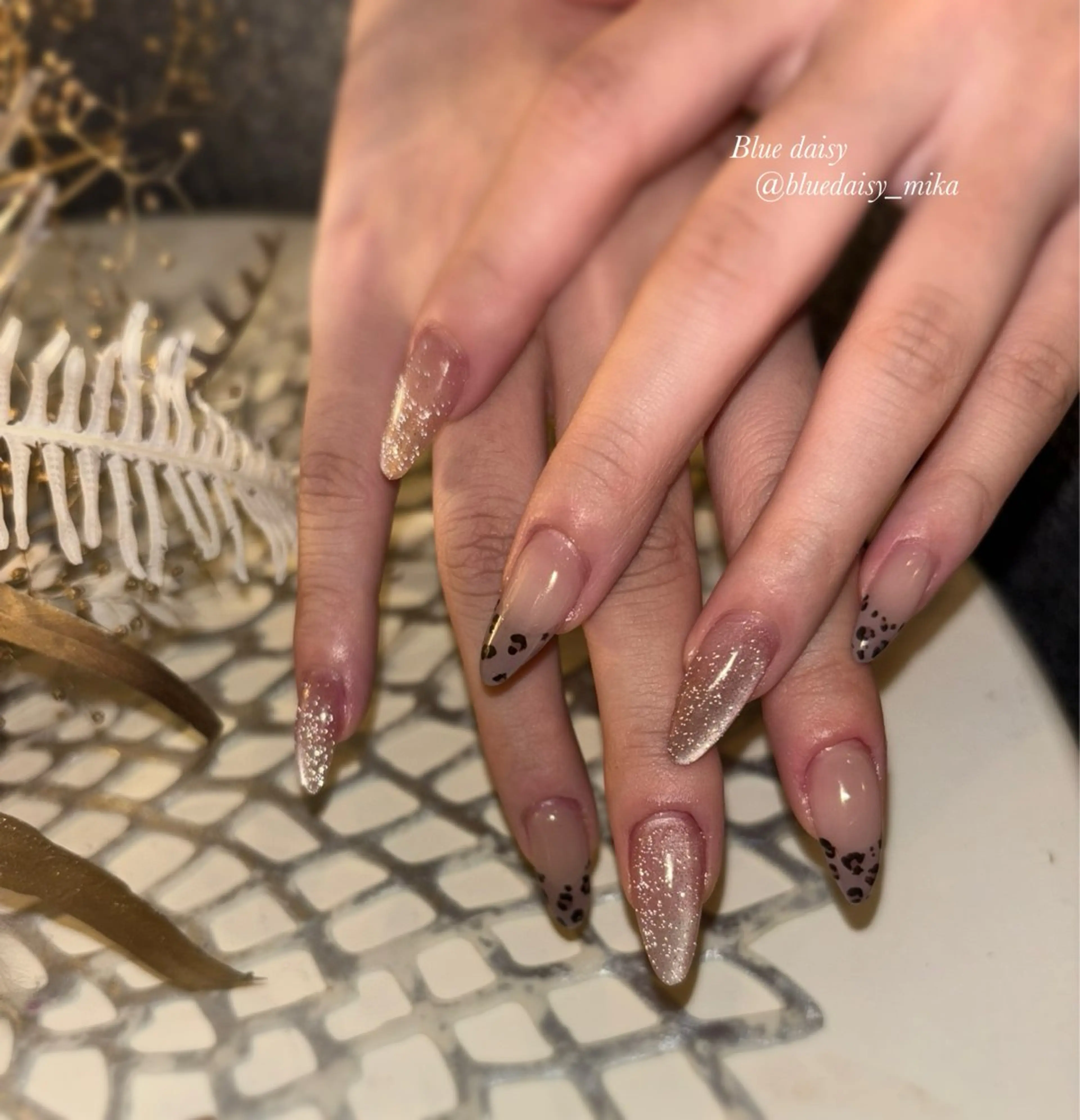 ネイル アニマル柄 フラッシュネイル フレンチネイル マグネットネイル ハンドネイル Blue　daisy　栄本店 【ブルーデイジー】所属・Blue daisy 栄本店のネイルデザイン