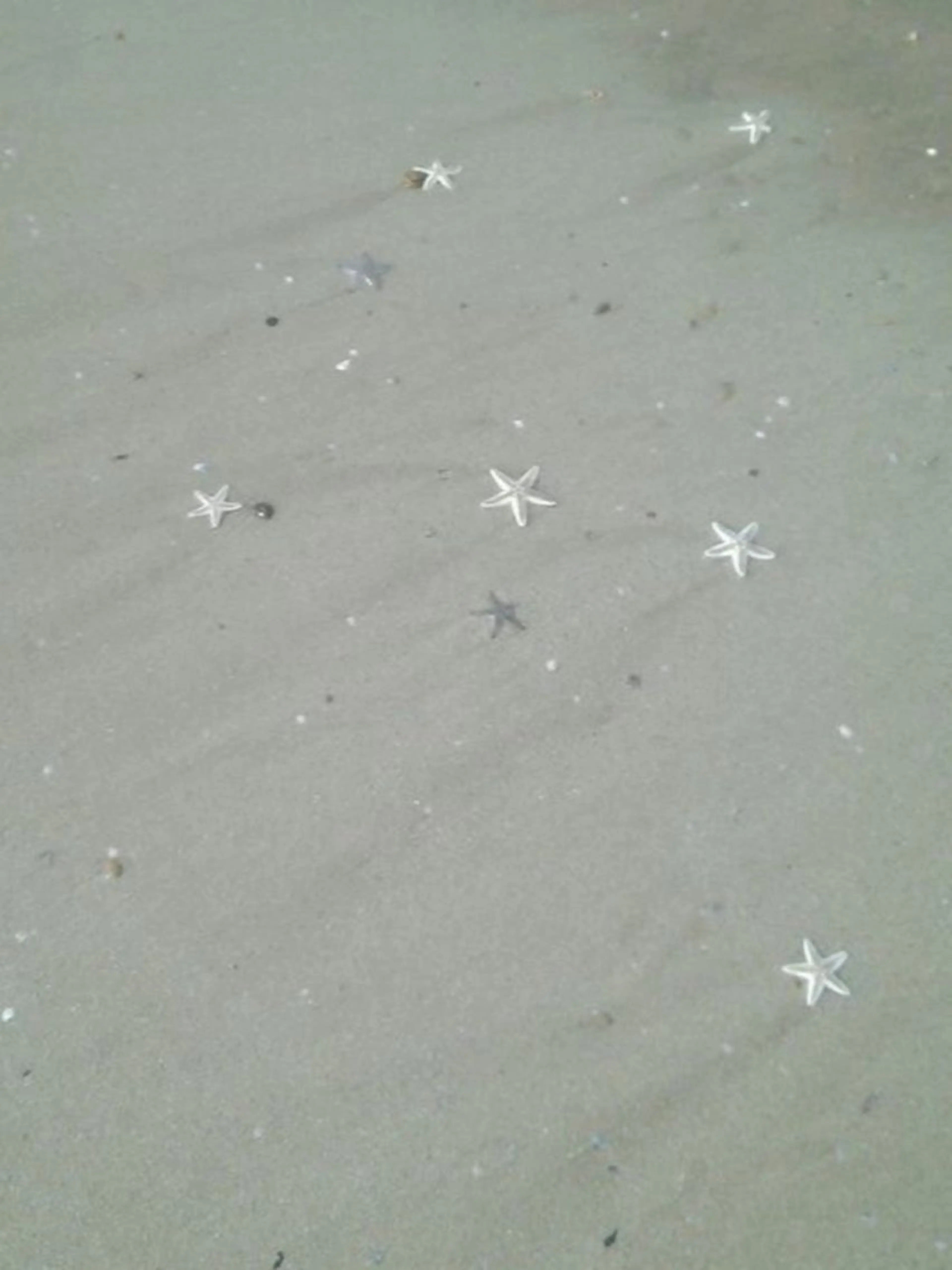 Rairia momoka🎀✨のマツエク・マツパデザイン