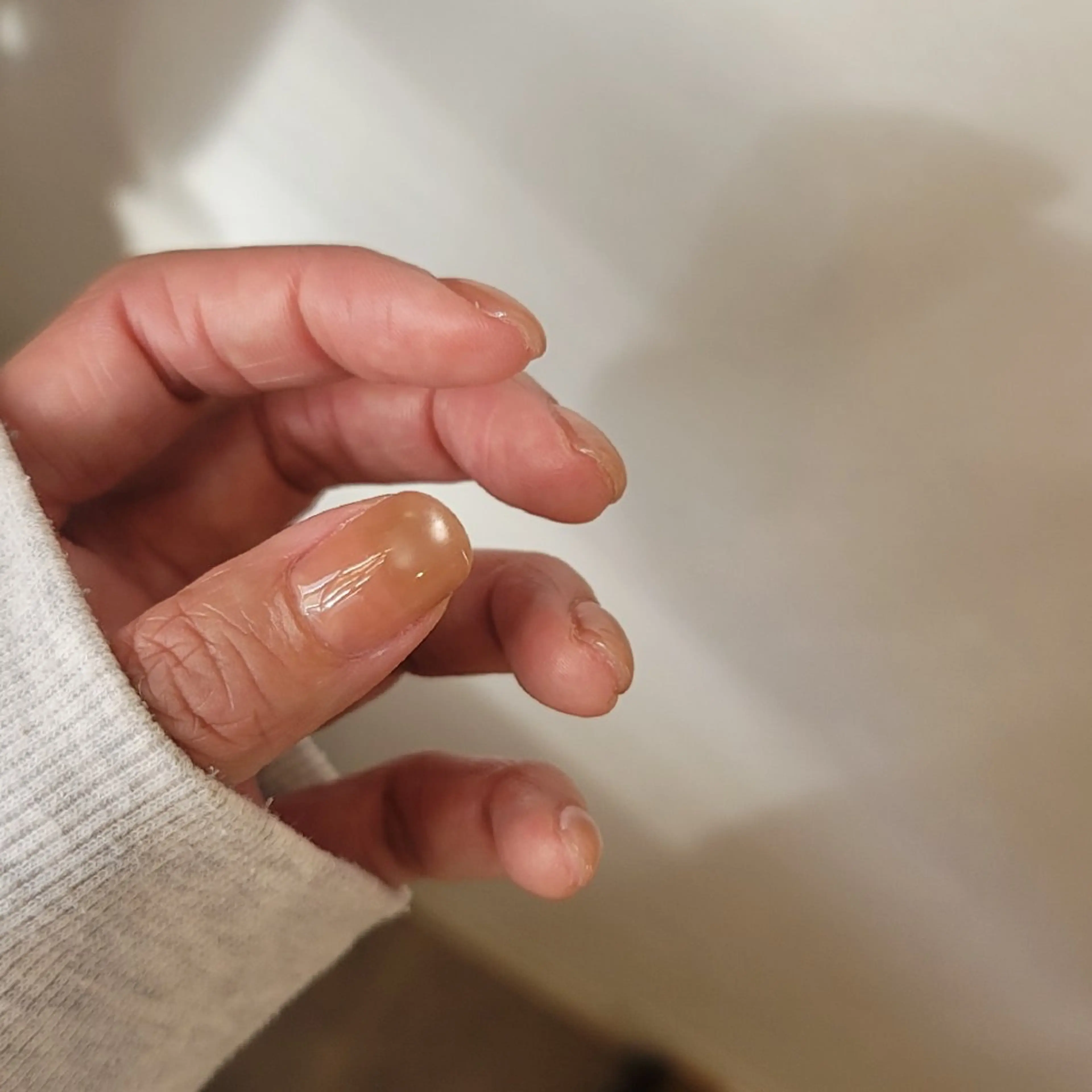 ネイル マグネットネイル 🌲🌳🚪iiit o🌲🌳🌲のネイルデザイン