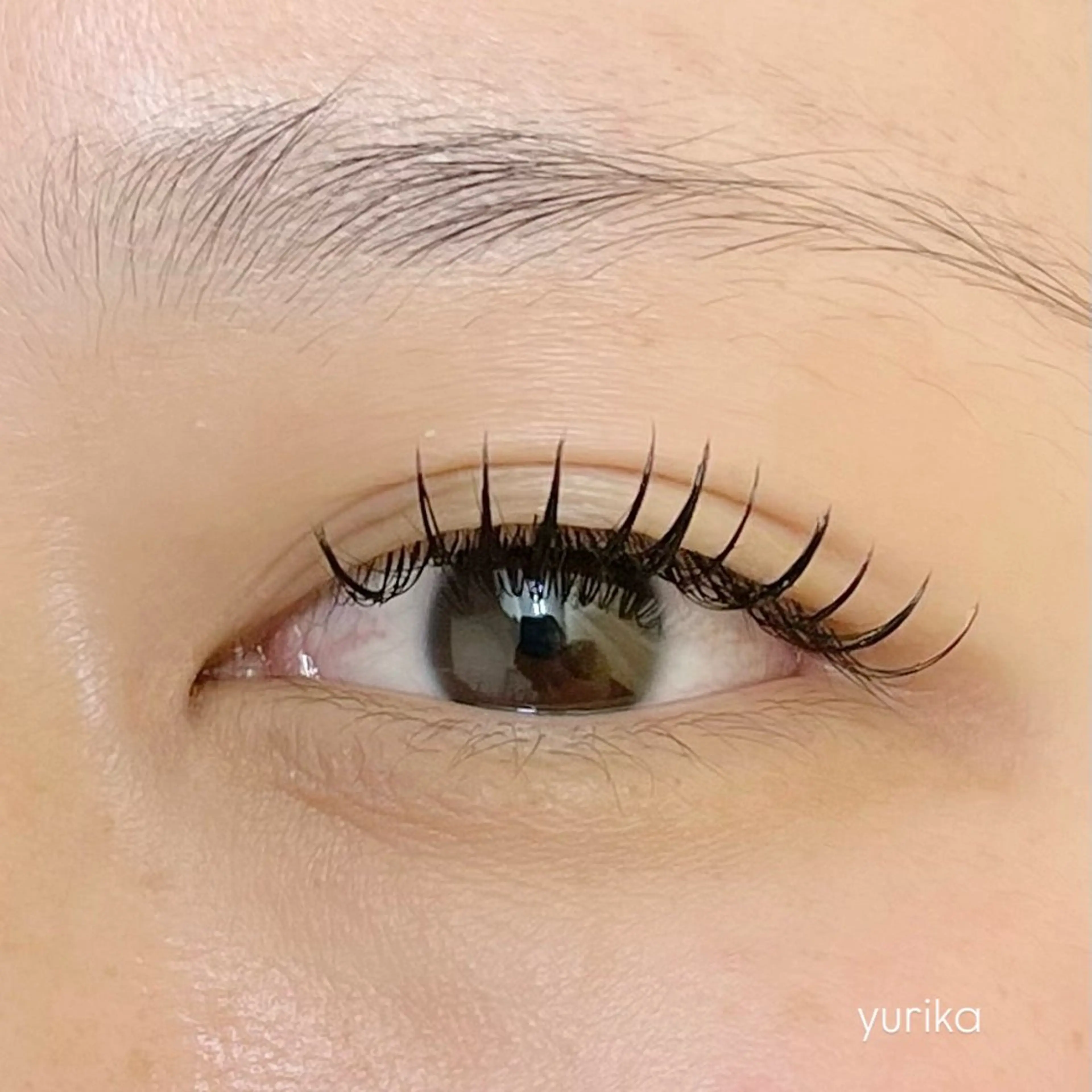 マツエク・マツパ フラットラッシュ Y.eyelash 赤羽/志茂のマツエク・マツパデザイン