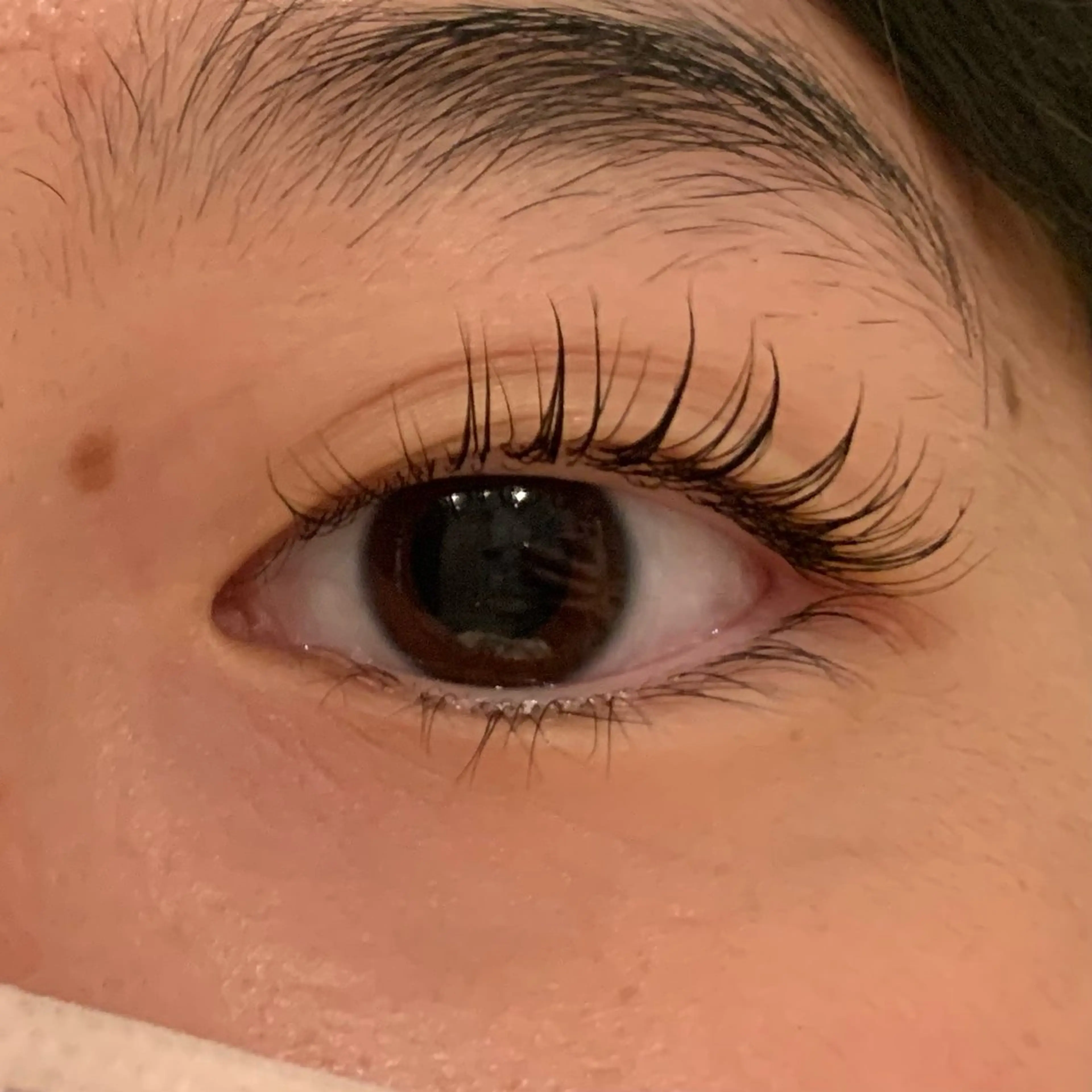 マツエク・マツパ マツパ Ailes MUKAIのマツエク・マツパデザイン