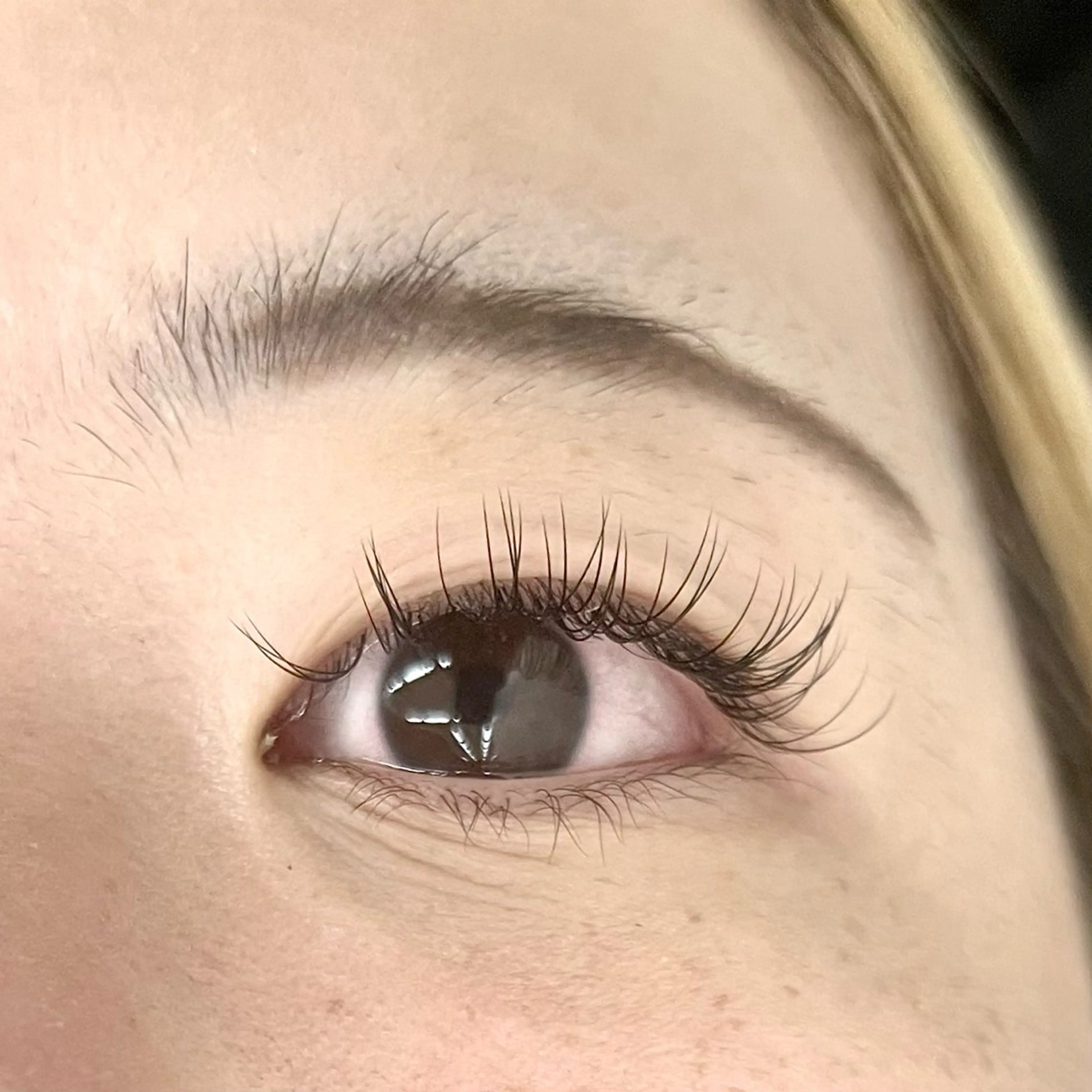 マツエク・マツパ Eyelash 大阪梅田 MAXKELLY【アイラッシュ ウメダ マックスケリー】所属・🦋maxkelly .mizuki🦋のマツエク・マツパデザイン