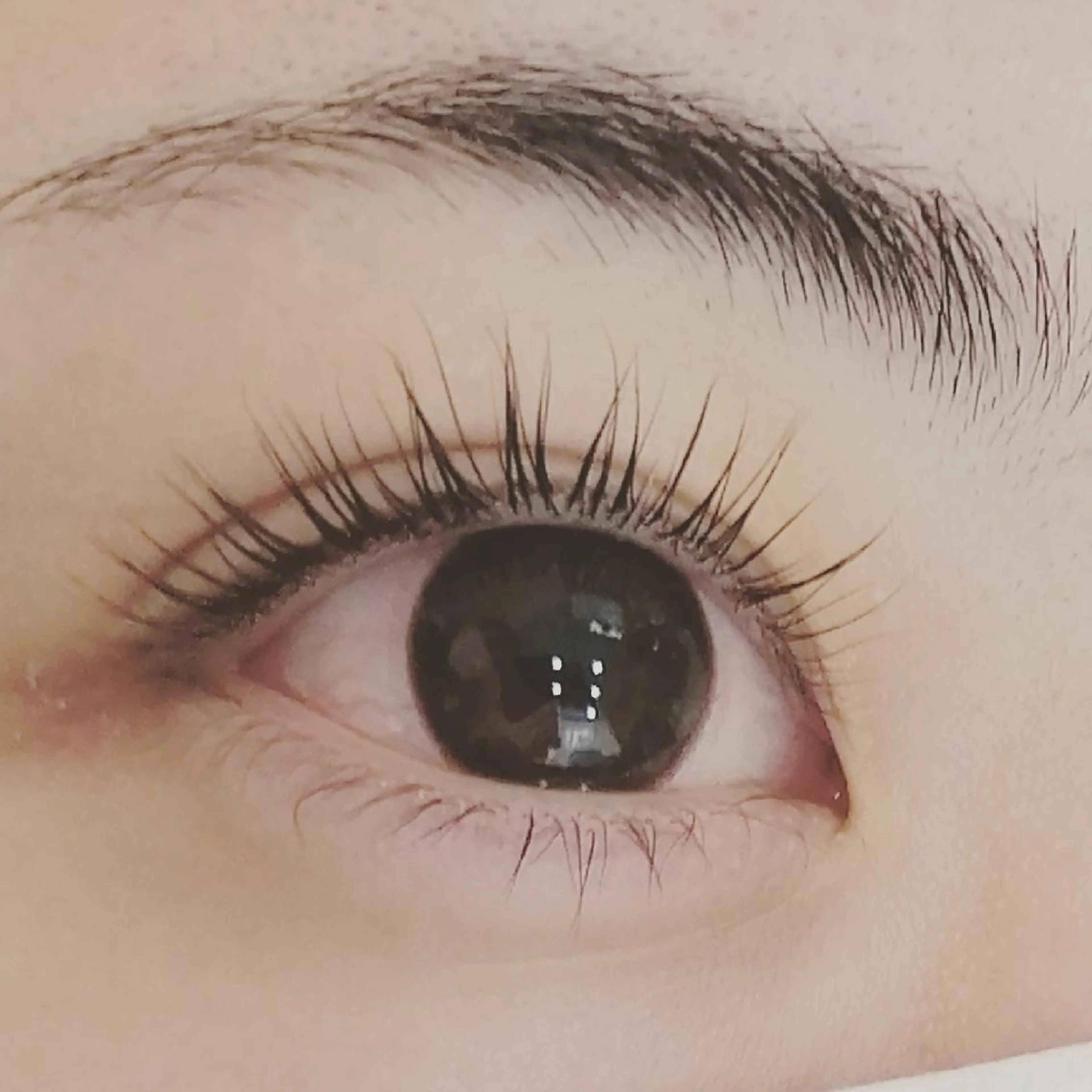 マツエク・マツパ 一重×まつ毛パーマ eyelash Amourのマツエク・マツパデザイン