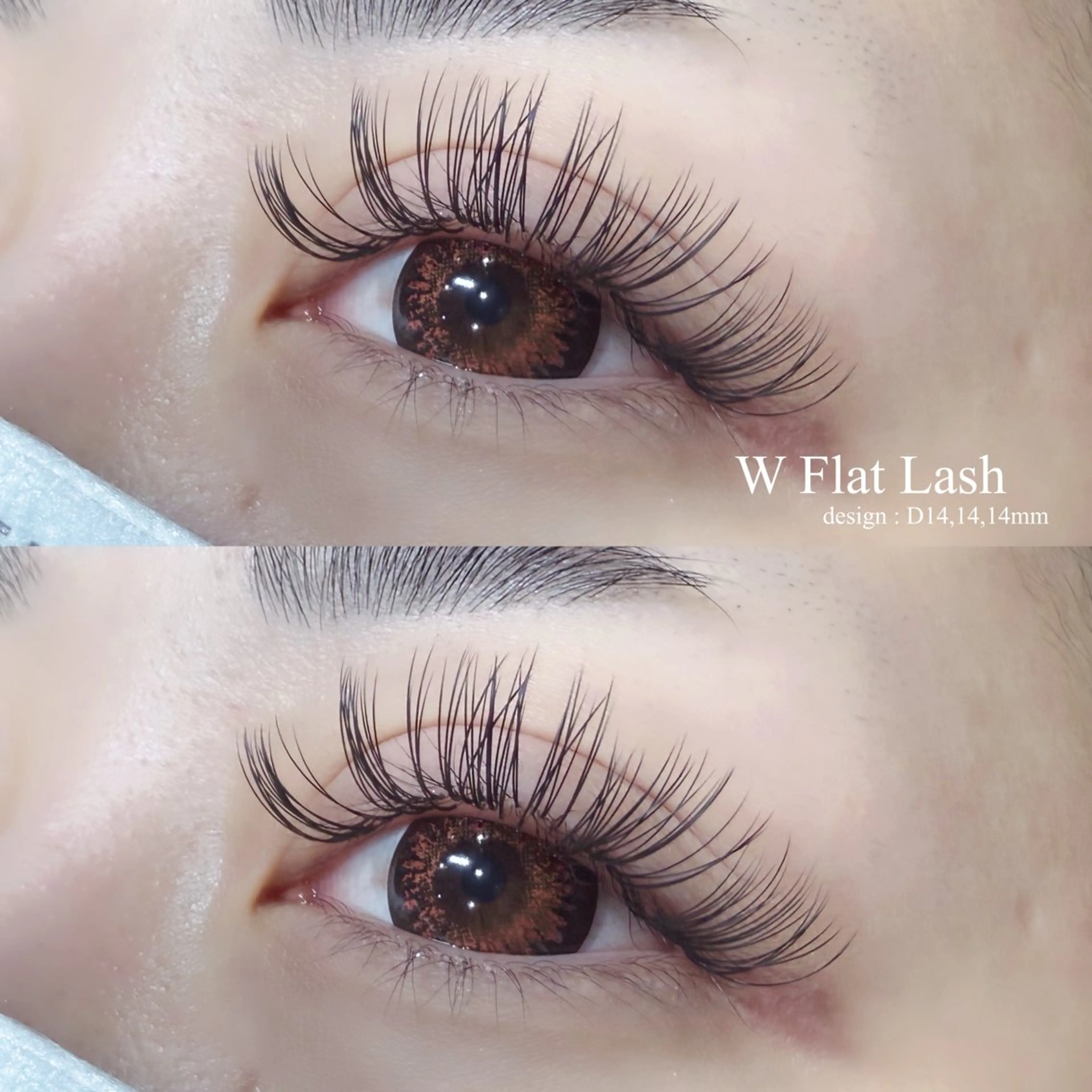 マツエク・マツパ Shucre太田川 🦋aoiのマツエク・マツパデザイン