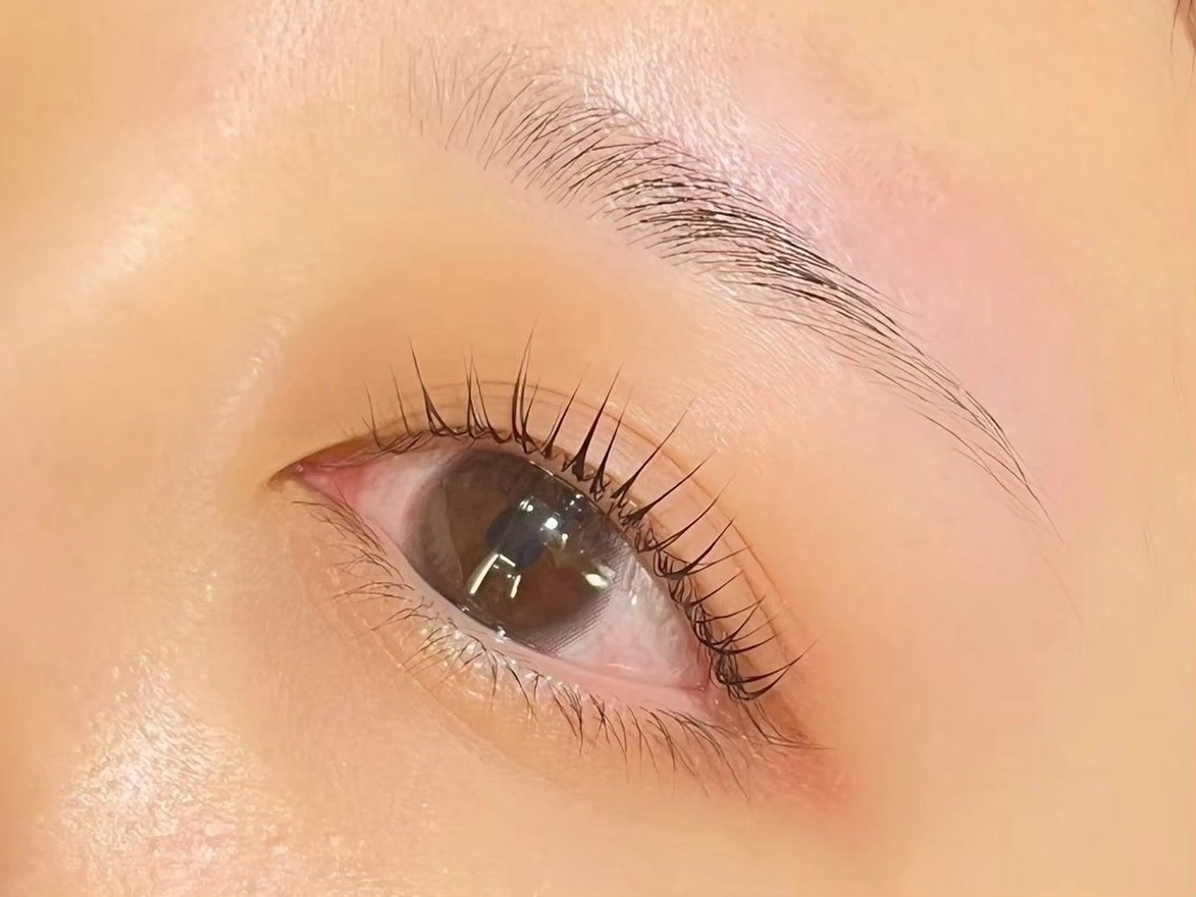 🩵【新規】眉毛wax+まつ毛パーマ🩵の写真