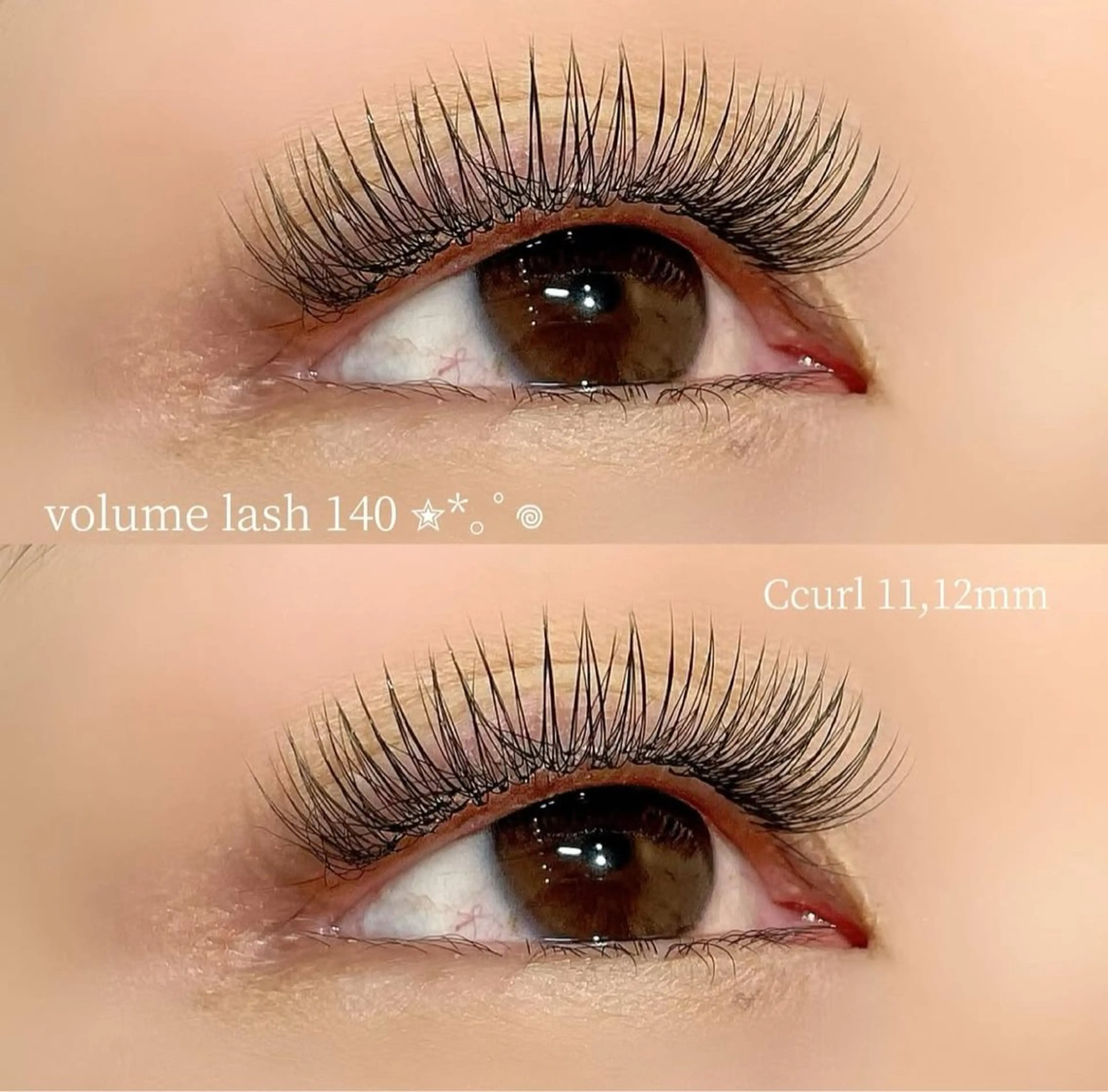 🩷ボリュームラッシュ/上120束迄【オフなし】の写真