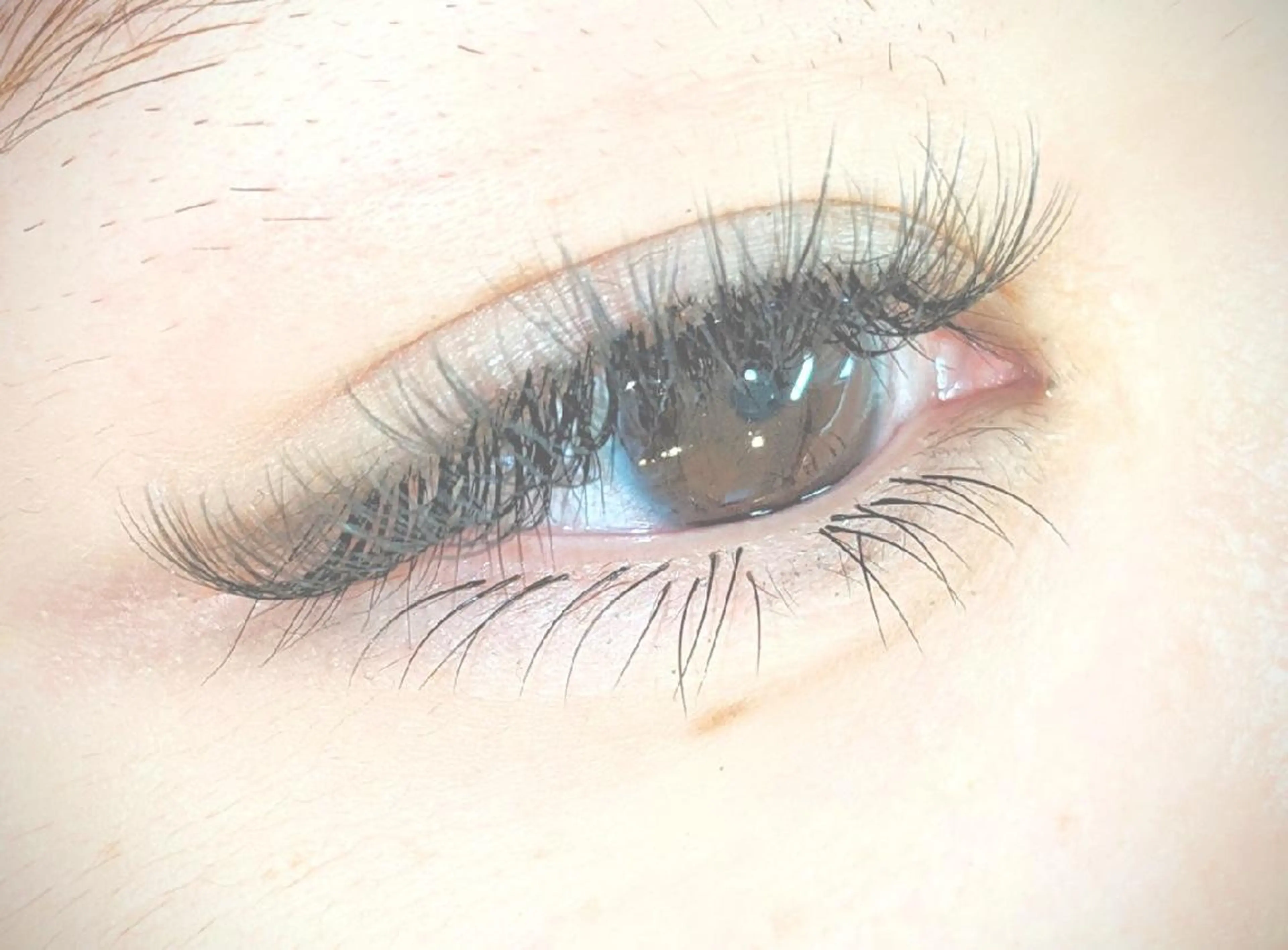 マツエク・マツパ Dカール ボリュームラッシュ アイデザイナー Key（ケイ）の眉毛・アイブロウイメージ