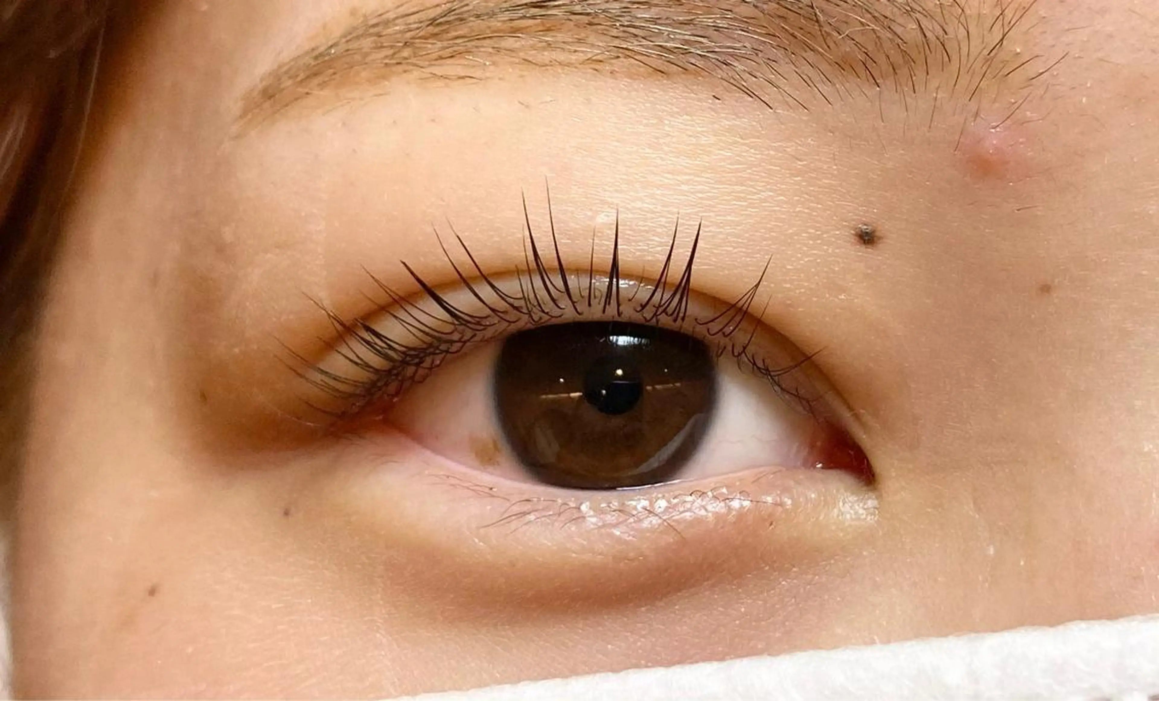 キッズ マツエク・マツパ パリジェンヌラッシュリフト sola: neolive出沼のマツエク・マツパデザイン