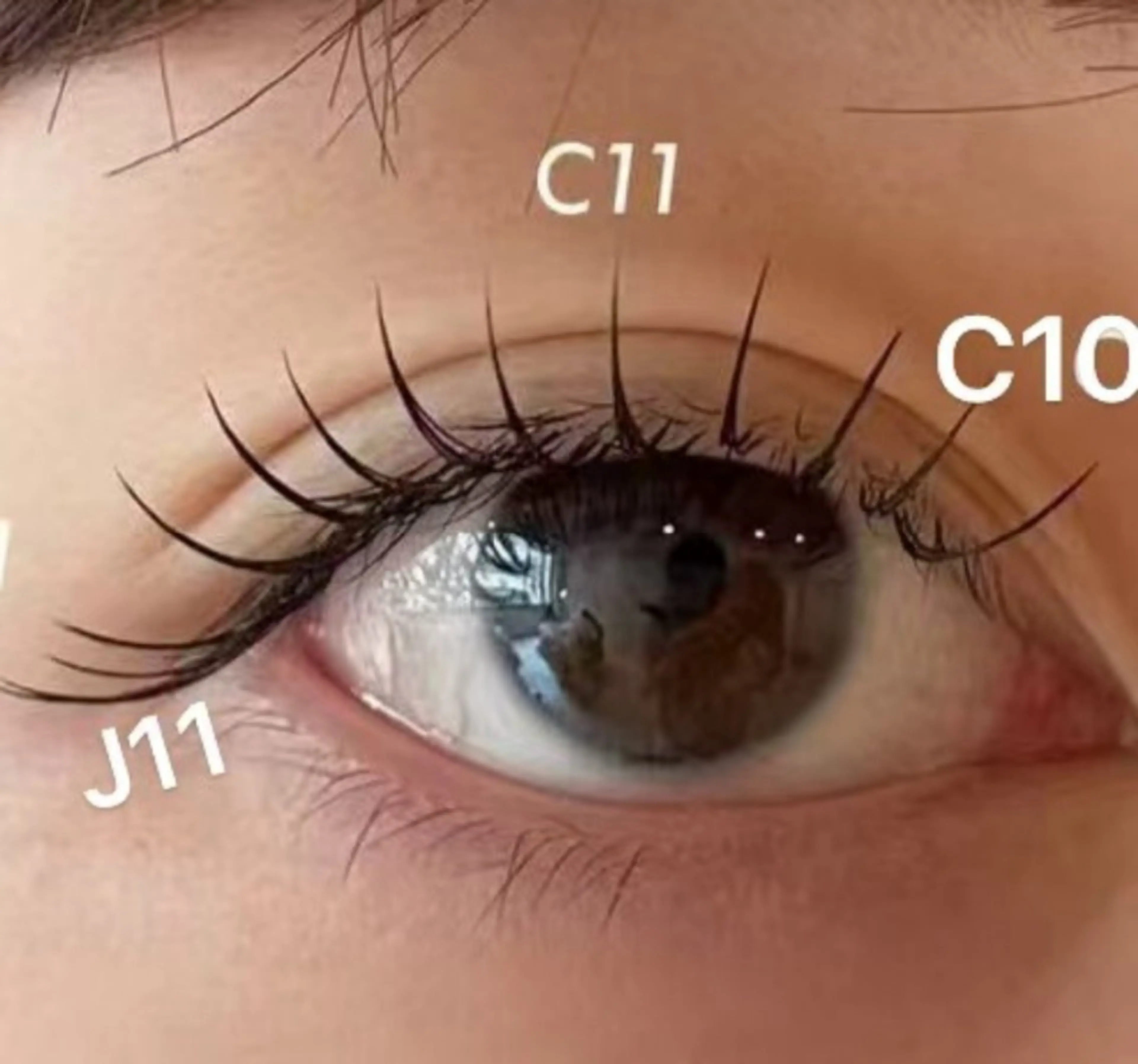 🧚‍♂️人気👍 最高級フラットラッシュ100本🧚‍♂️ 付け足し👌の写真