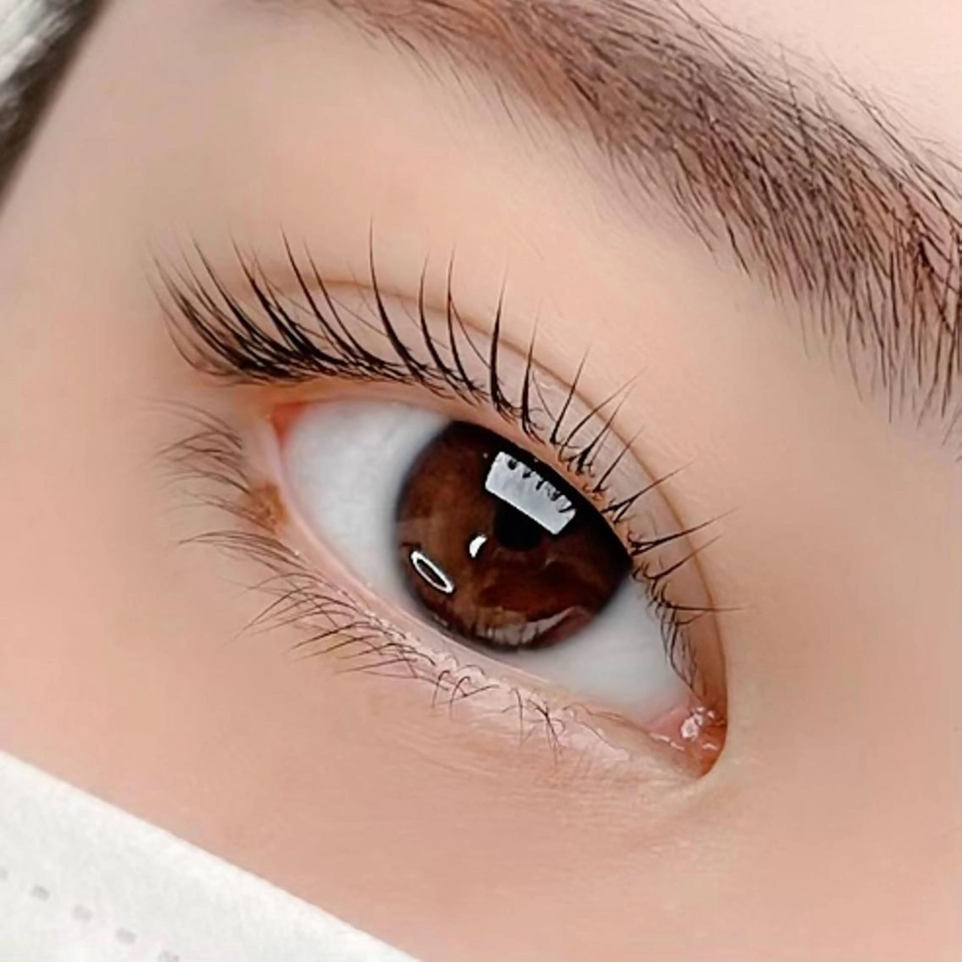 マツエク・マツパ RuRu所属・無料サロンモデル募集 RuRu🧸🌙のマツエク・マツパデザイン