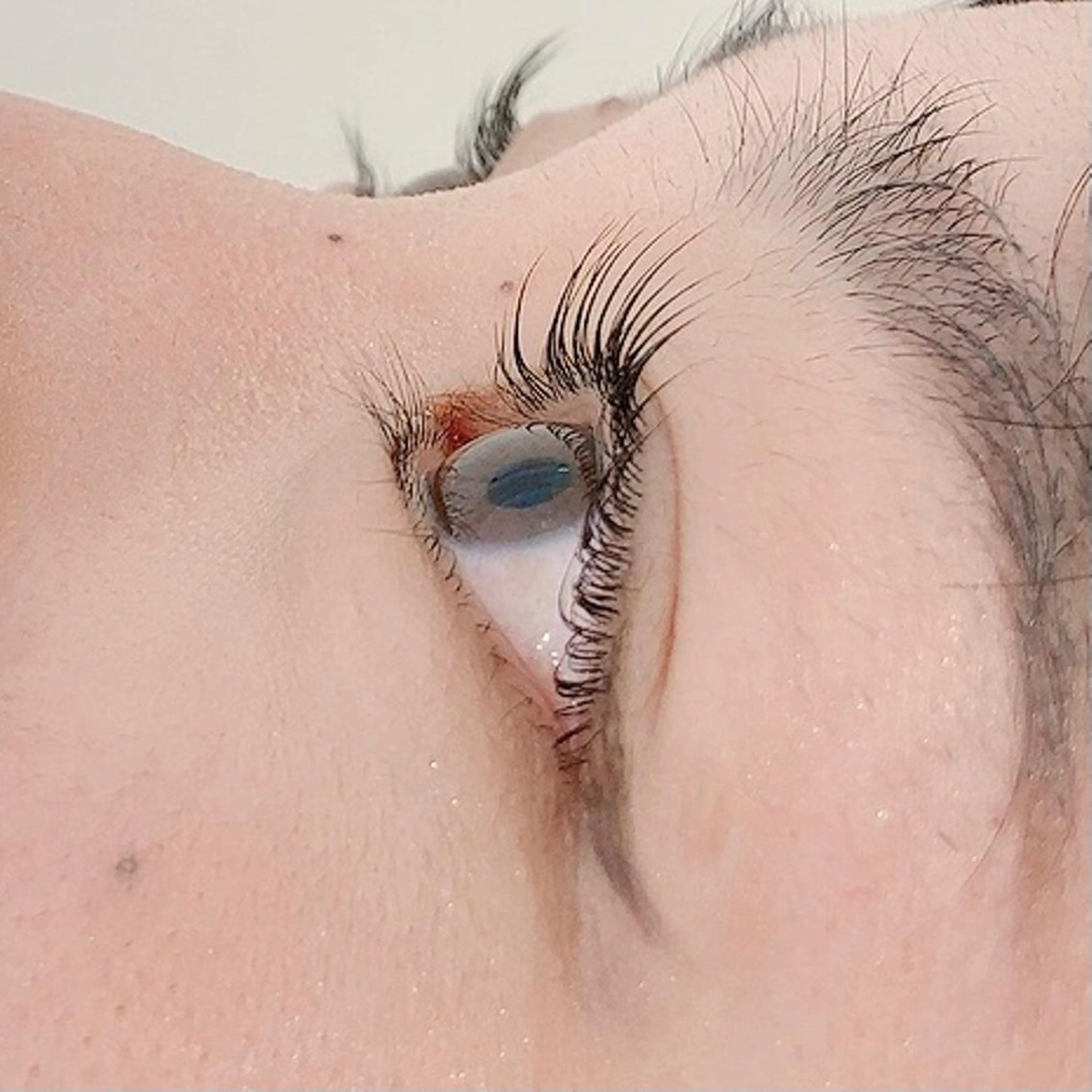 マツエク・マツパ bunny eyes 有本のマツエク・マツパデザイン