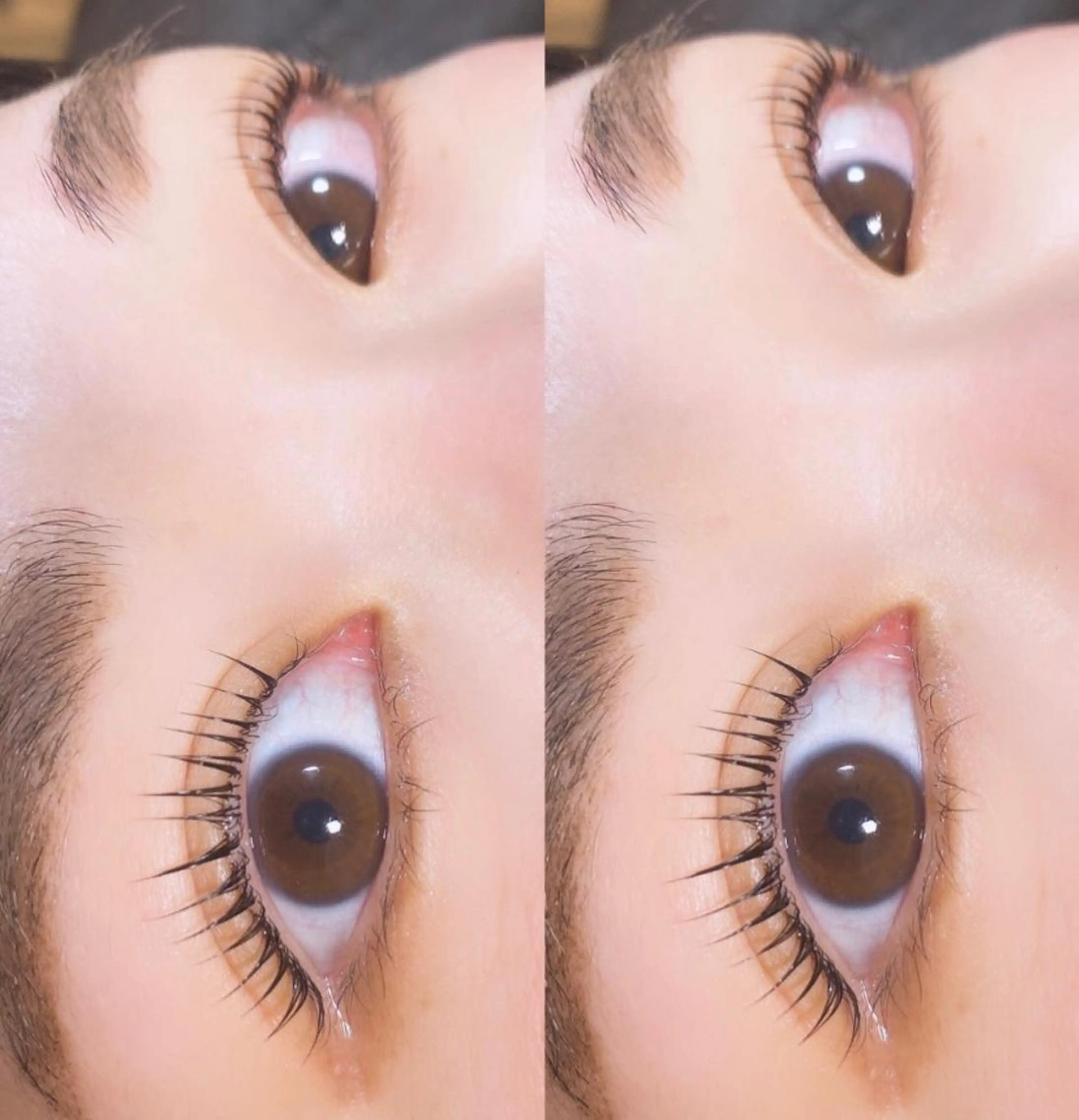 マツエク・マツパ beautysalon Lino所属・beauty salon　Linoのマツエク・マツパデザイン