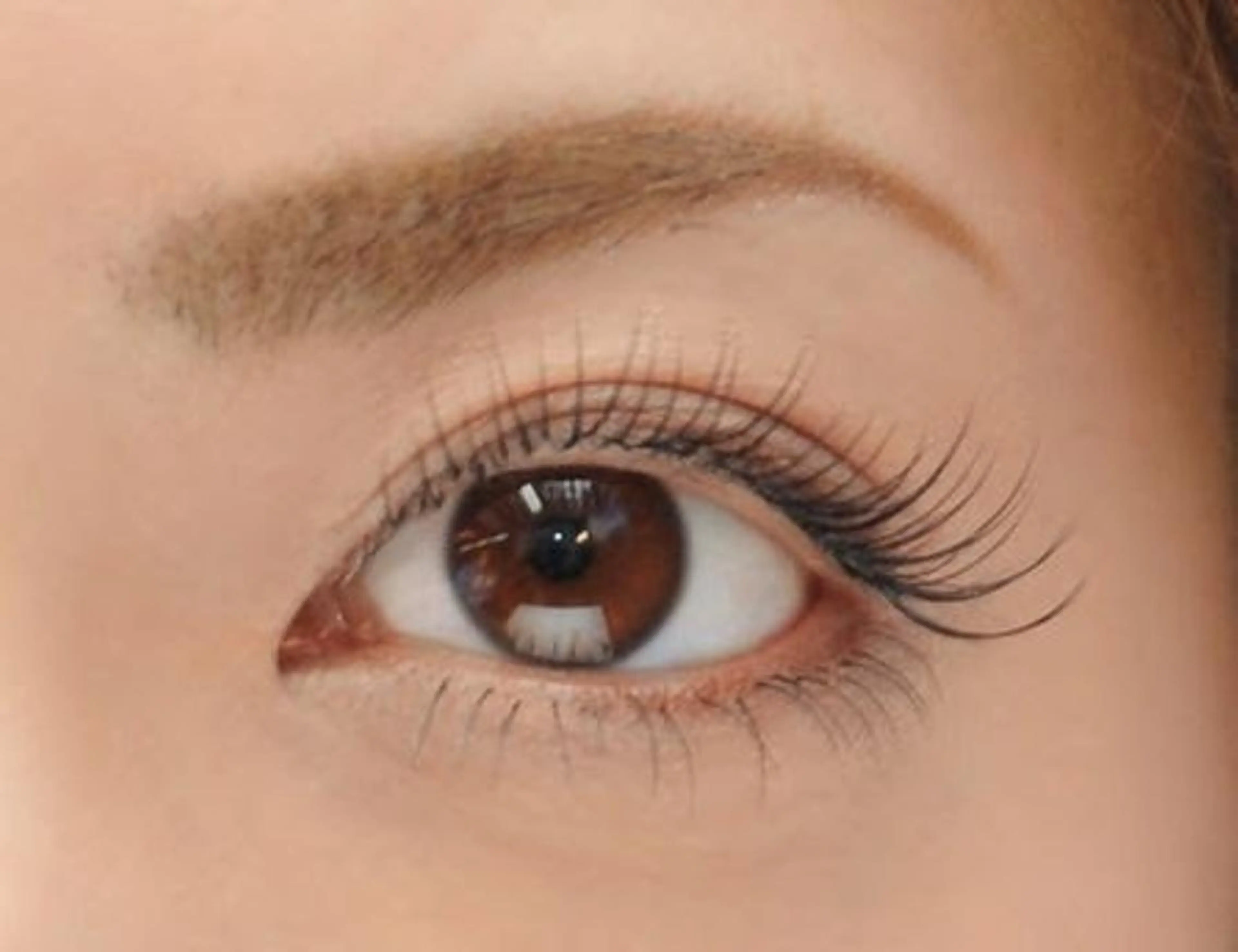 【ご新規様】🌸フラットラッシュ80本🌸¥5600→¥4000の写真