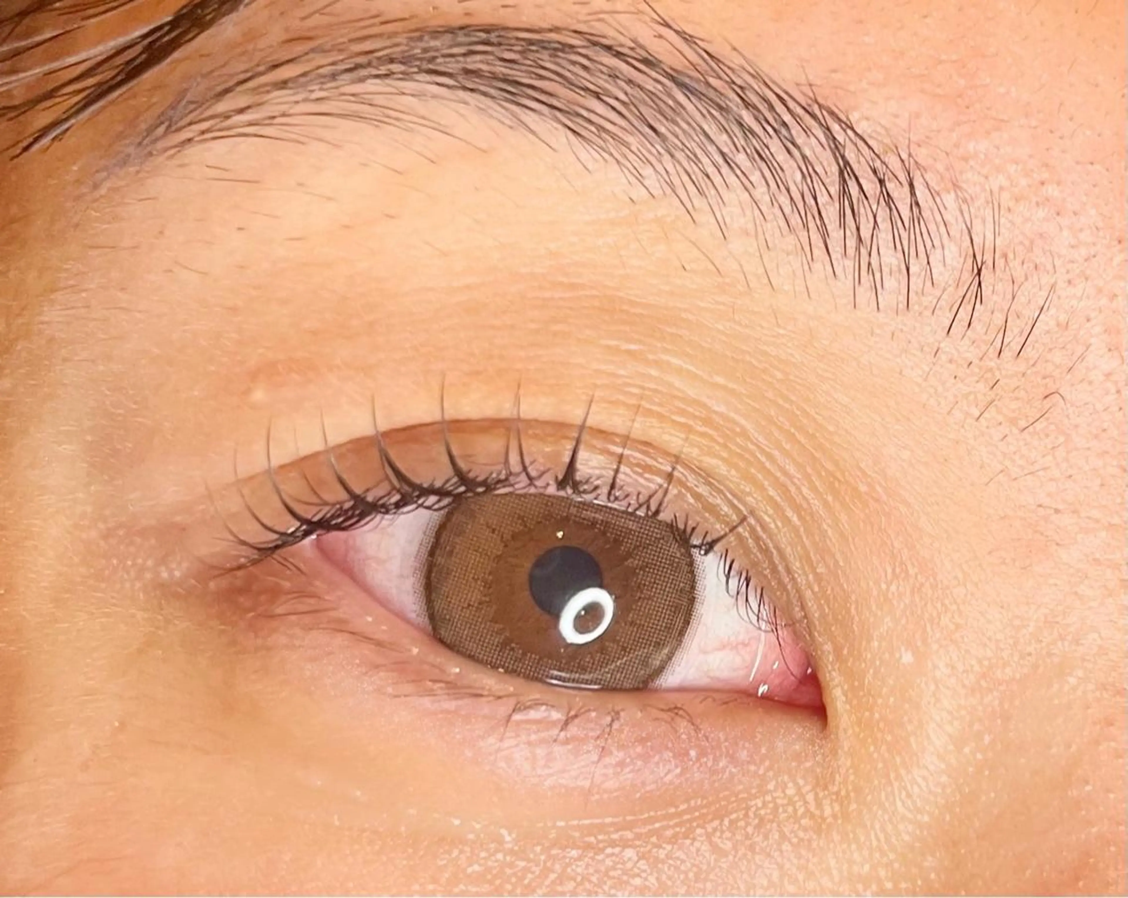 マツエク・マツパ Camarón まつ毛&眉毛サロンのマツエク・マツパデザイン