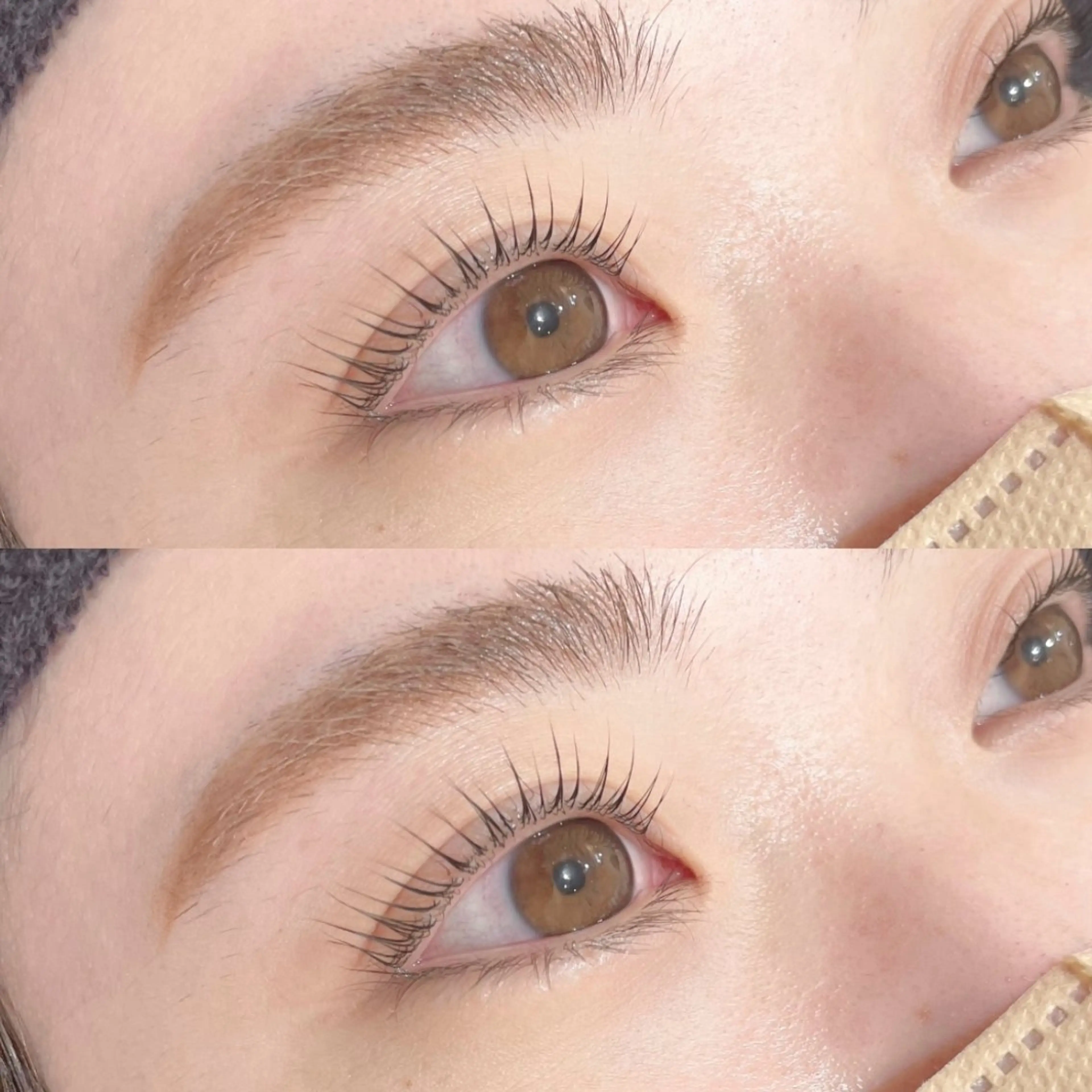 【お目元パッチリ👀💕】上下パリジェンヌラッシュリフト🫧の写真