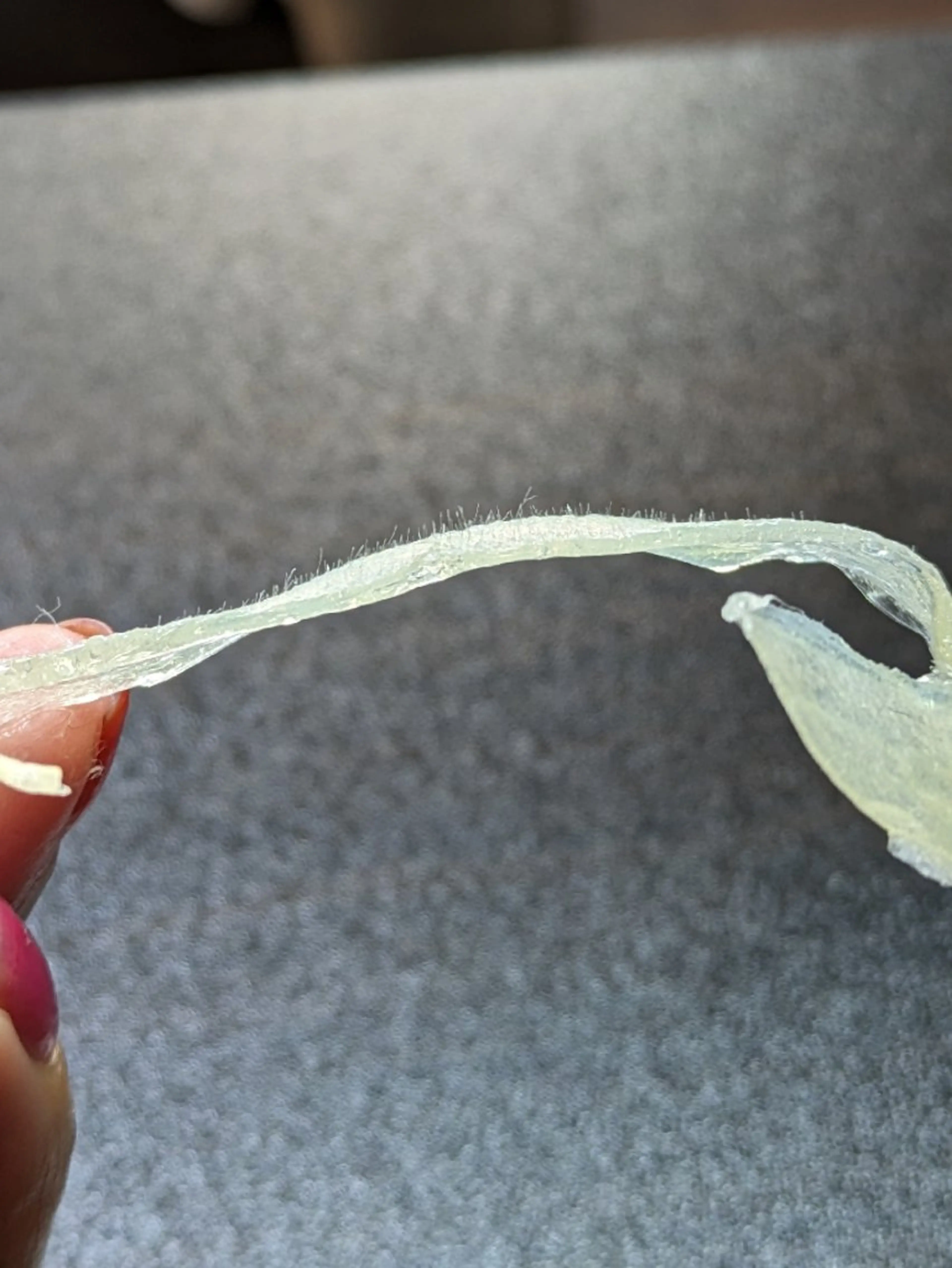  SOLEIL 小玉の眉毛・アイブロウイメージ