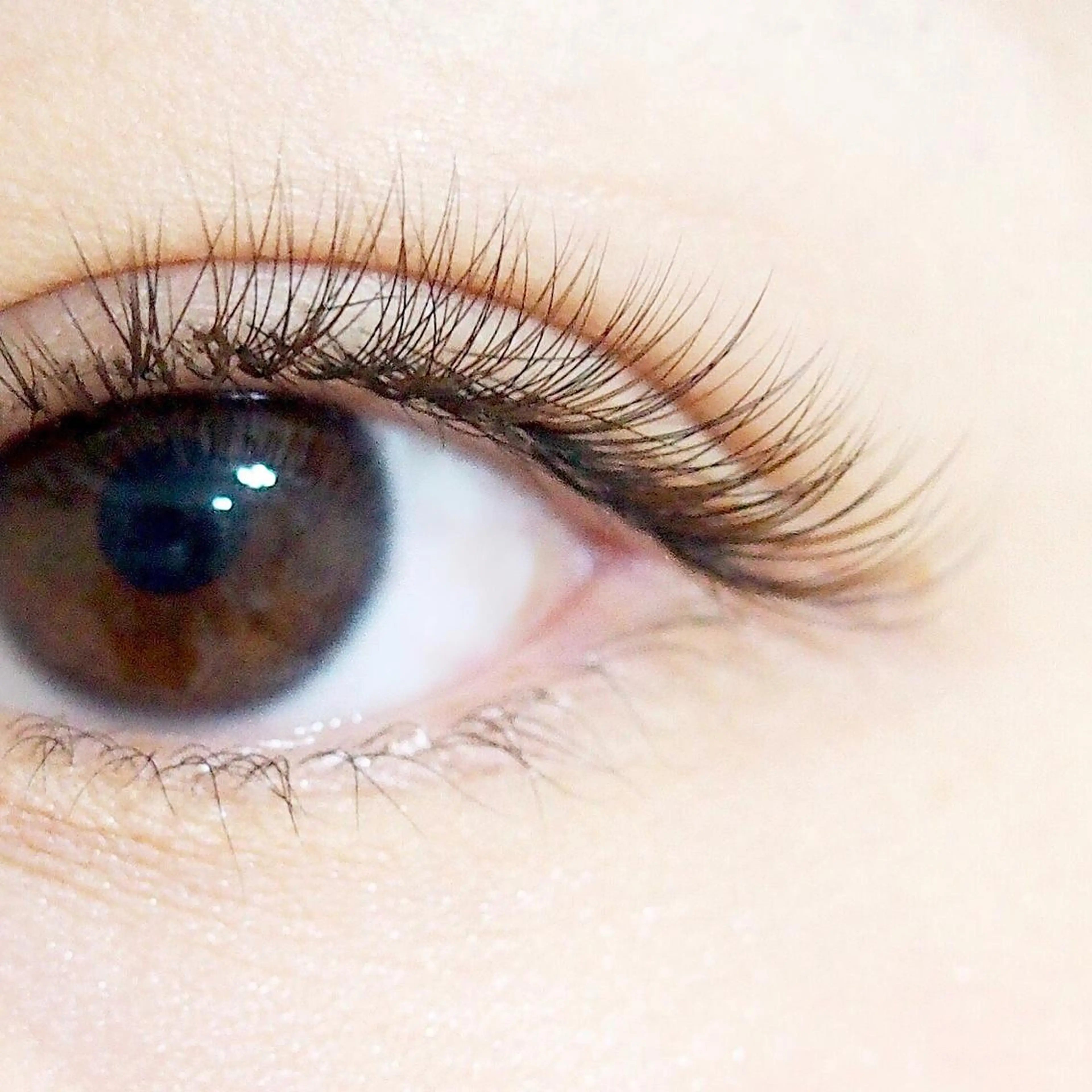 マツエク・マツパ eyenail 𓂃◌𓈒♡のマツエク・マツパデザイン