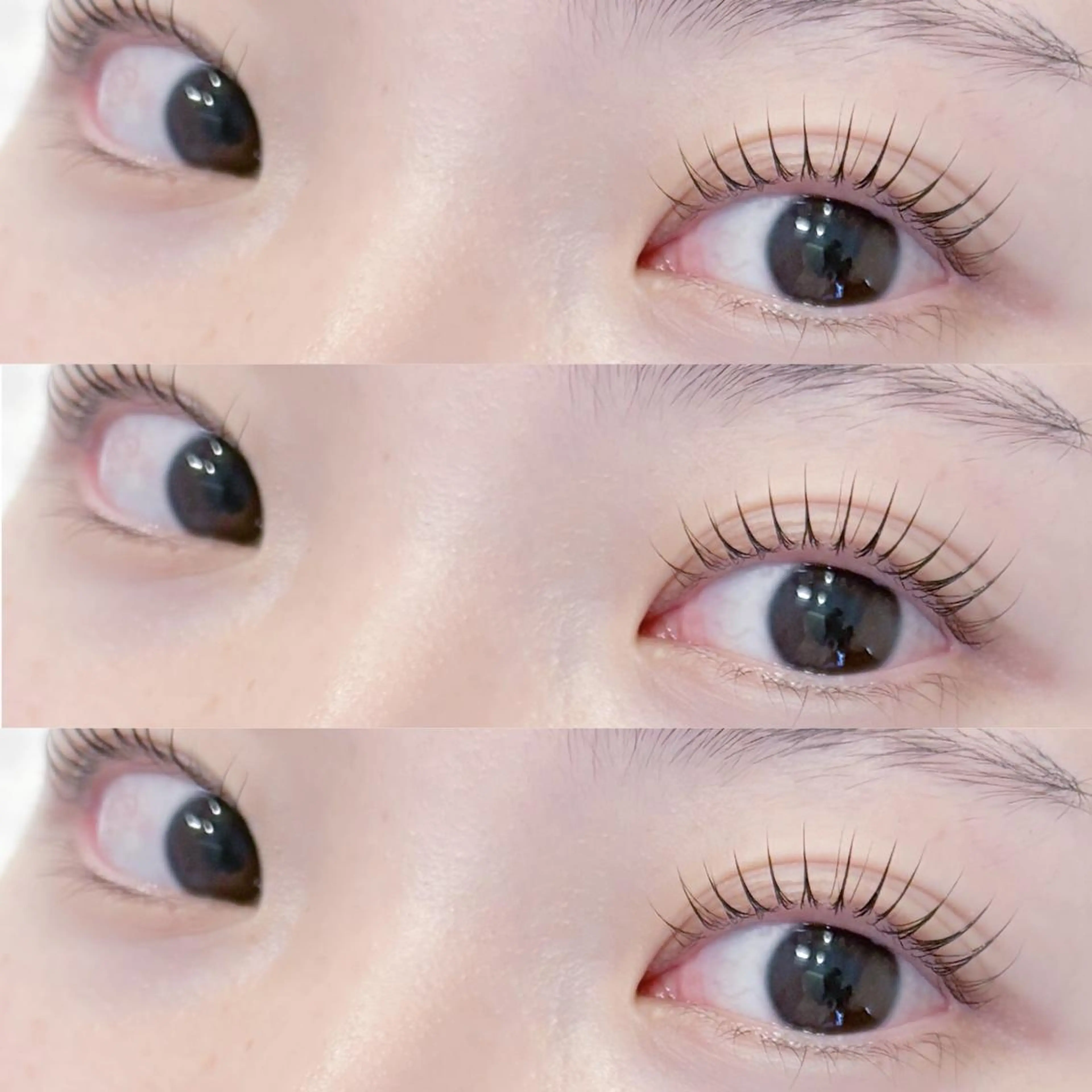 ラッシュリフト＋眉毛ワックスセット9800円✨こちらのメニューはお問い合わせください♪の写真