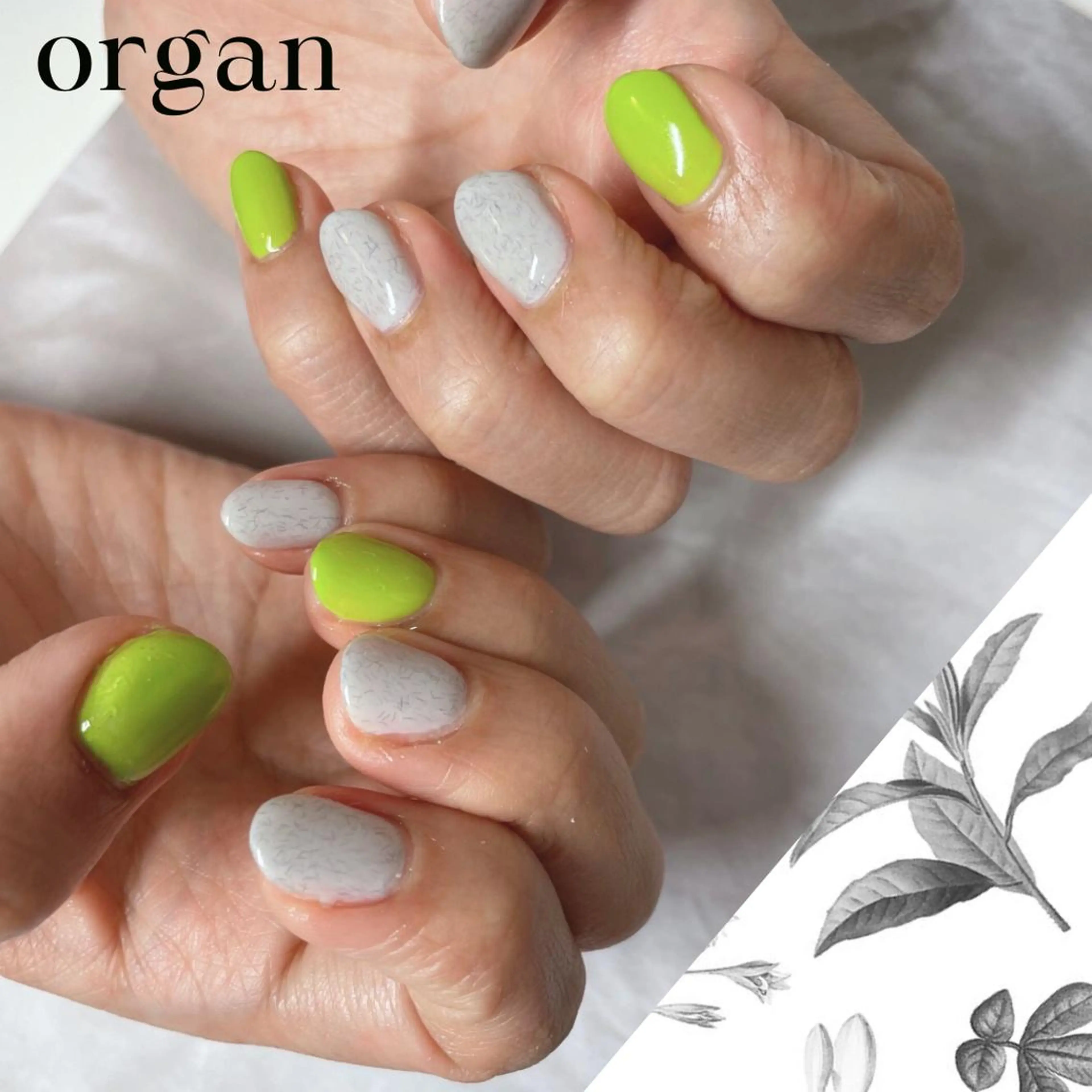 ネイル ピスタチオネイル 【ＯＲＧＡＮ】 nailのネイルデザイン