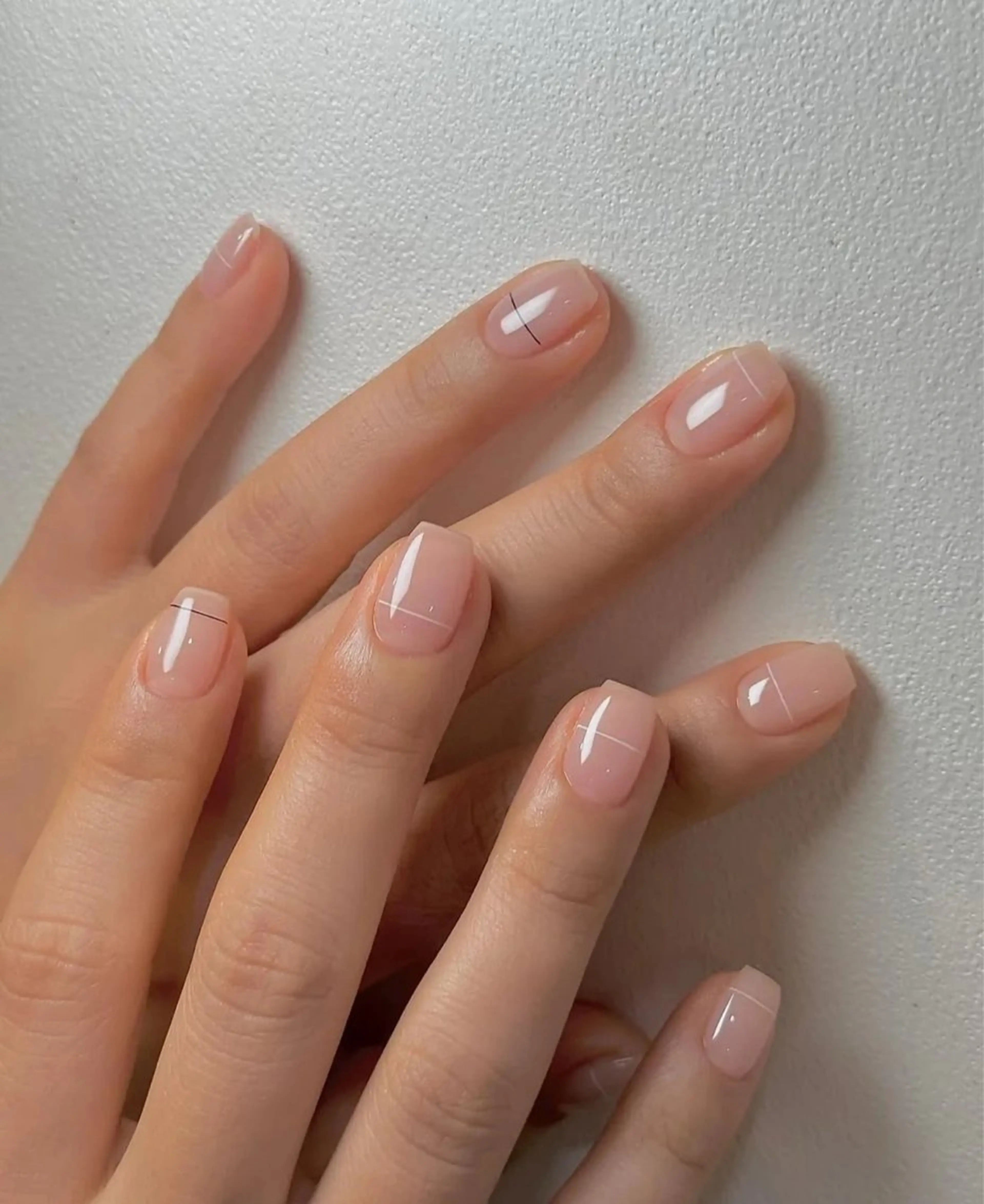 ワンカラーの写真