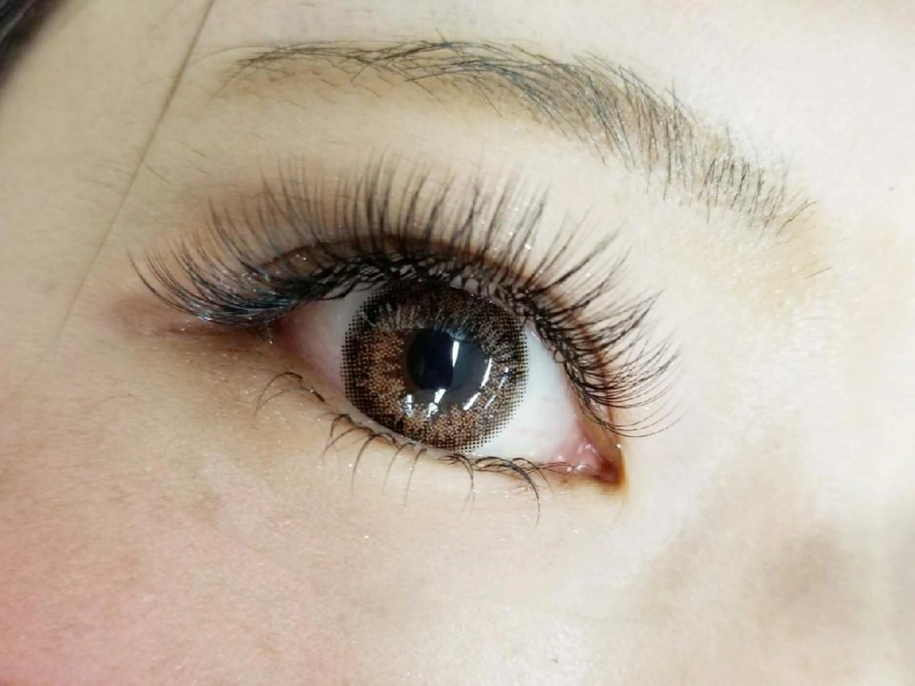 ボリュームラッシュ(3D~5D) オフ込み100束ブラウン+¥500の写真