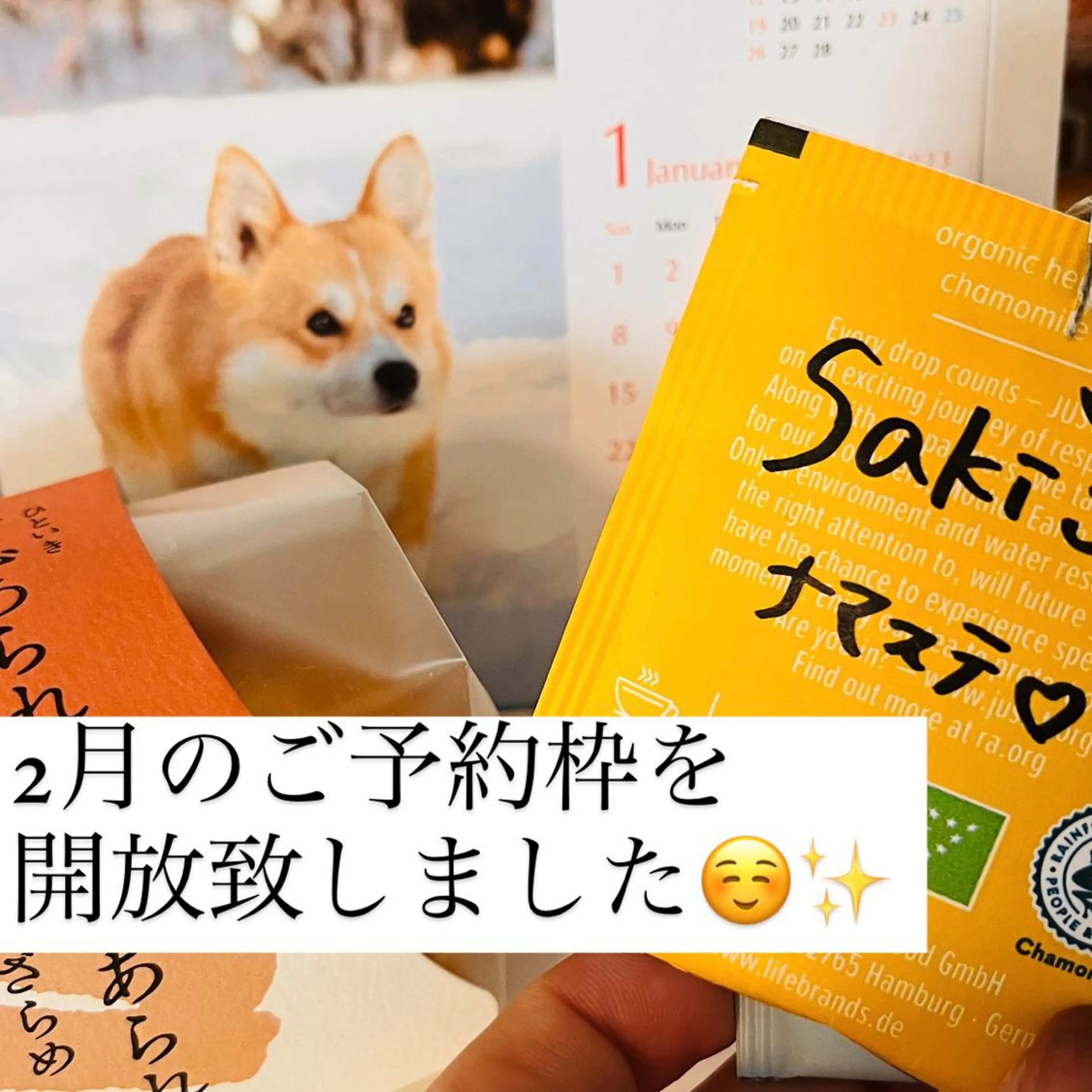 彫刻リンパ/骨盤ケア マヌティーズのその他イメージ