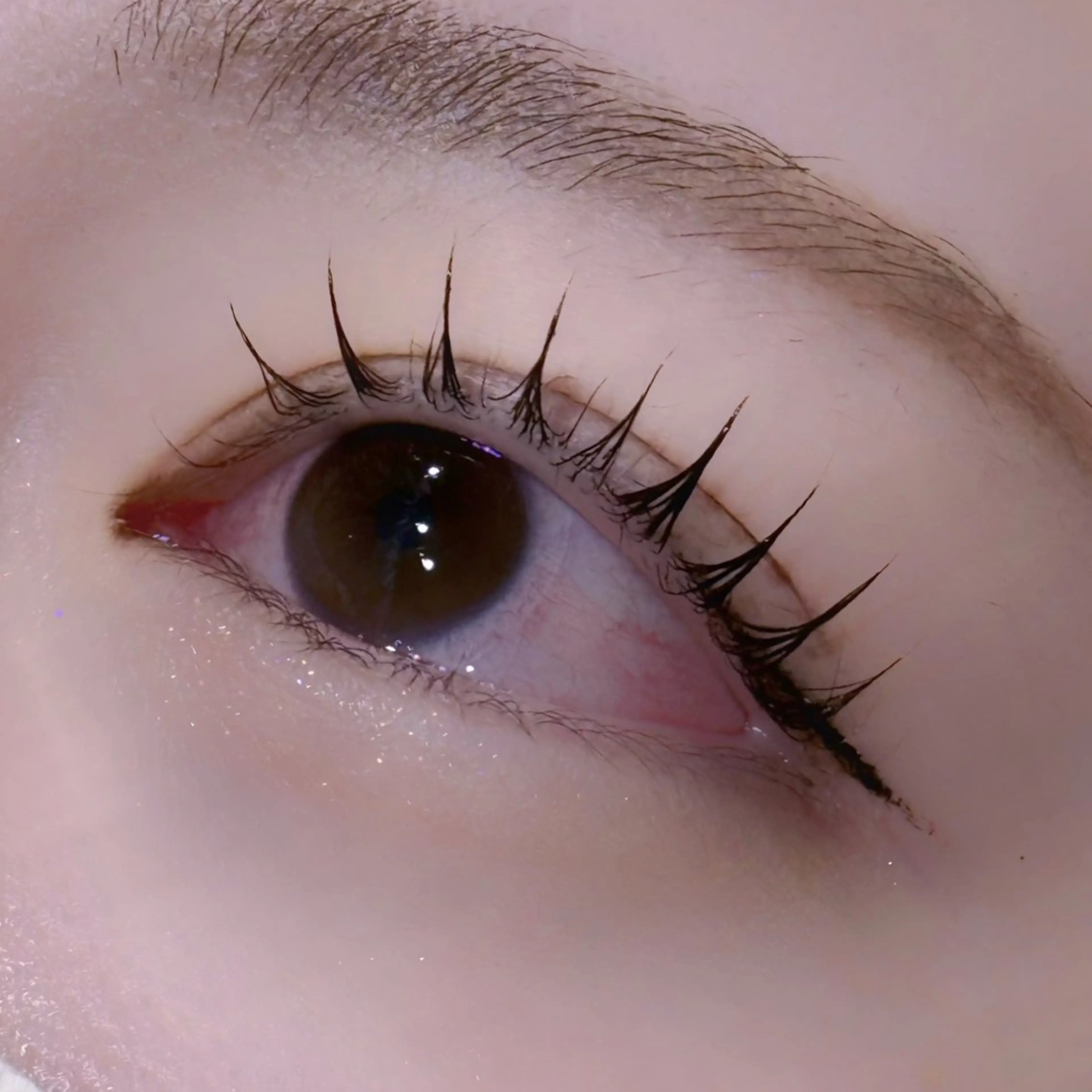 🖤ラッシュリフトorパリジェンヌ🖤（マスカラパーマ+¥500）の写真