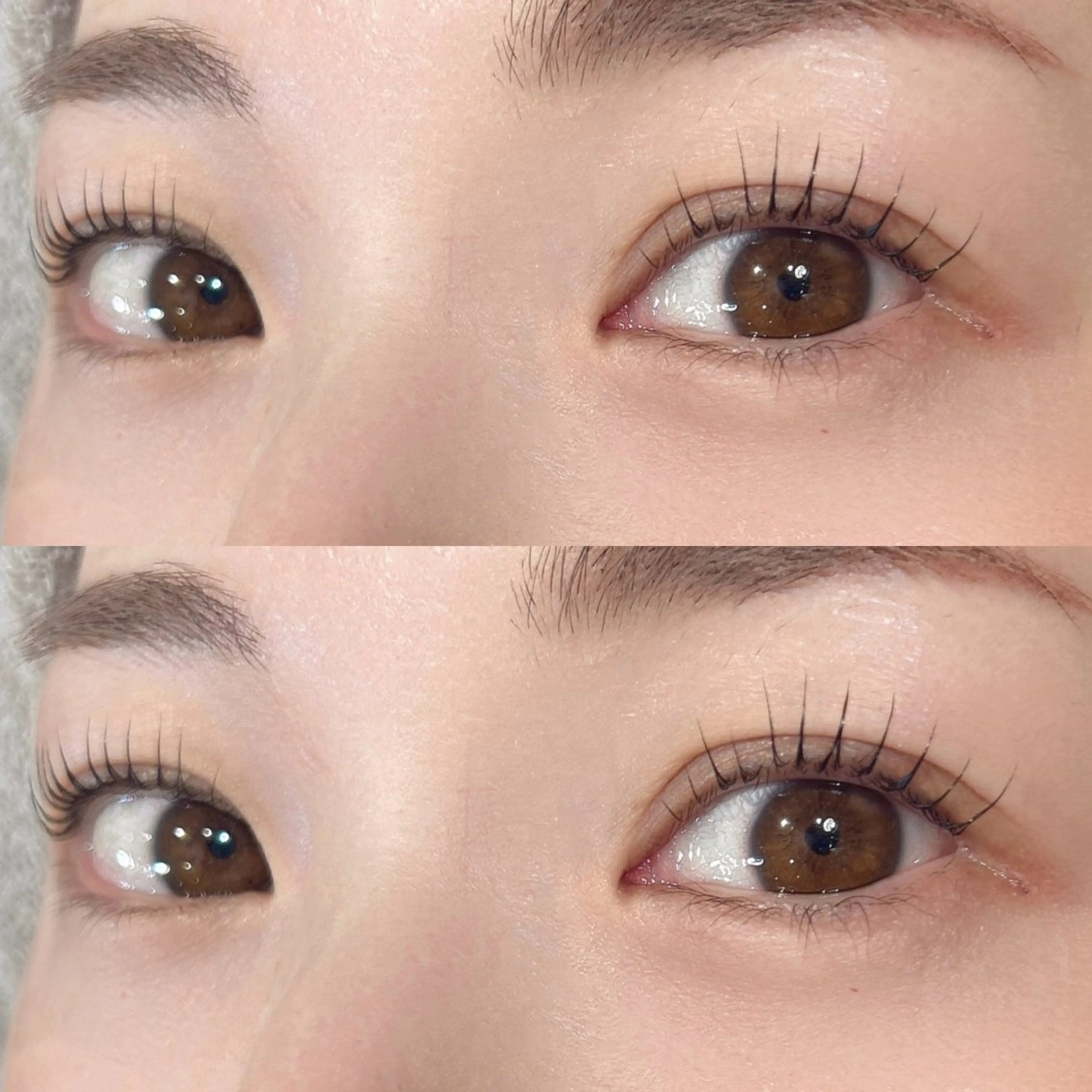 マツエク・マツパ パリジェンヌラッシュリフト マツパ マリーテレジア 🪽OKUMURAのマツエク・マツパデザイン