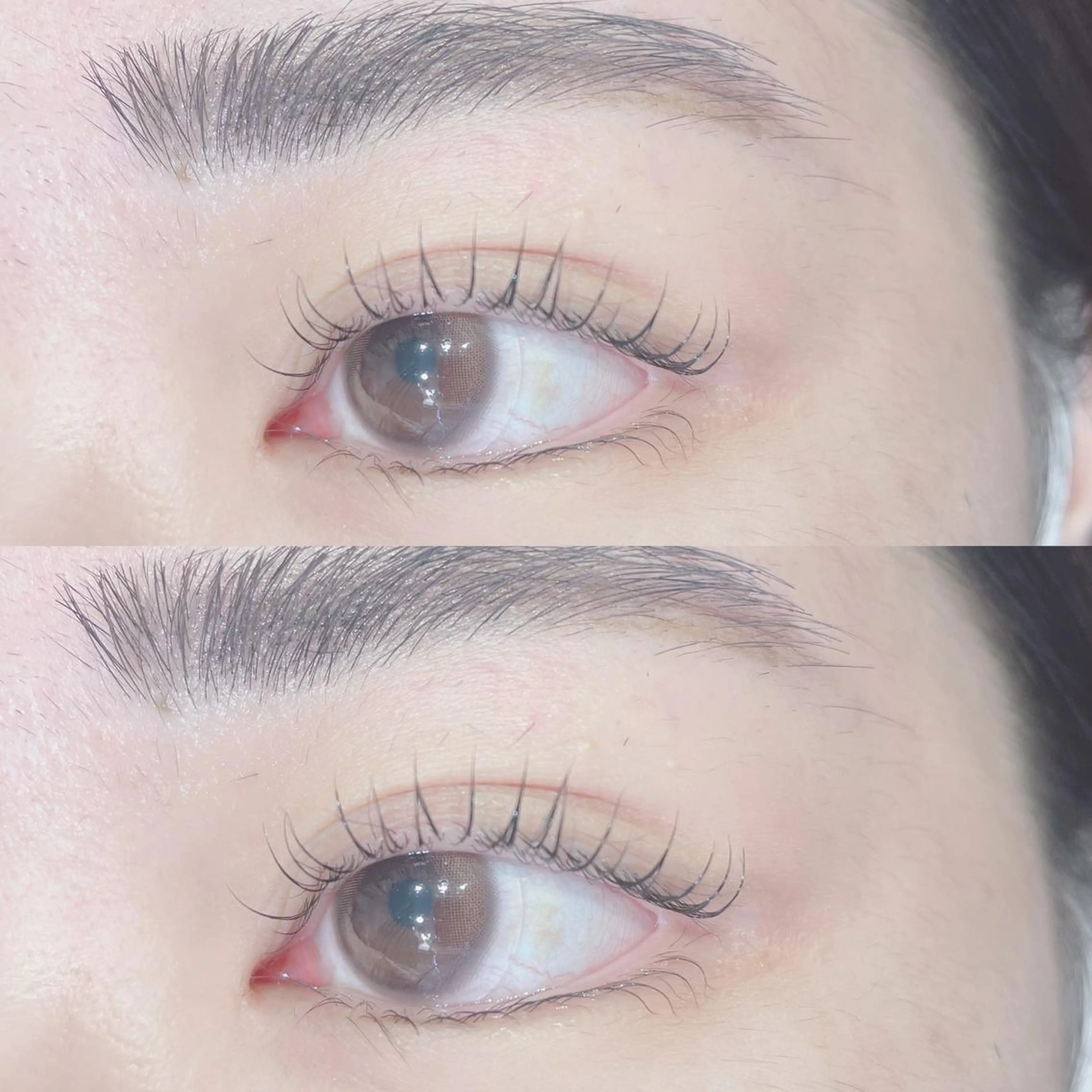 🩷lush lift👀コーティング仕上げの写真