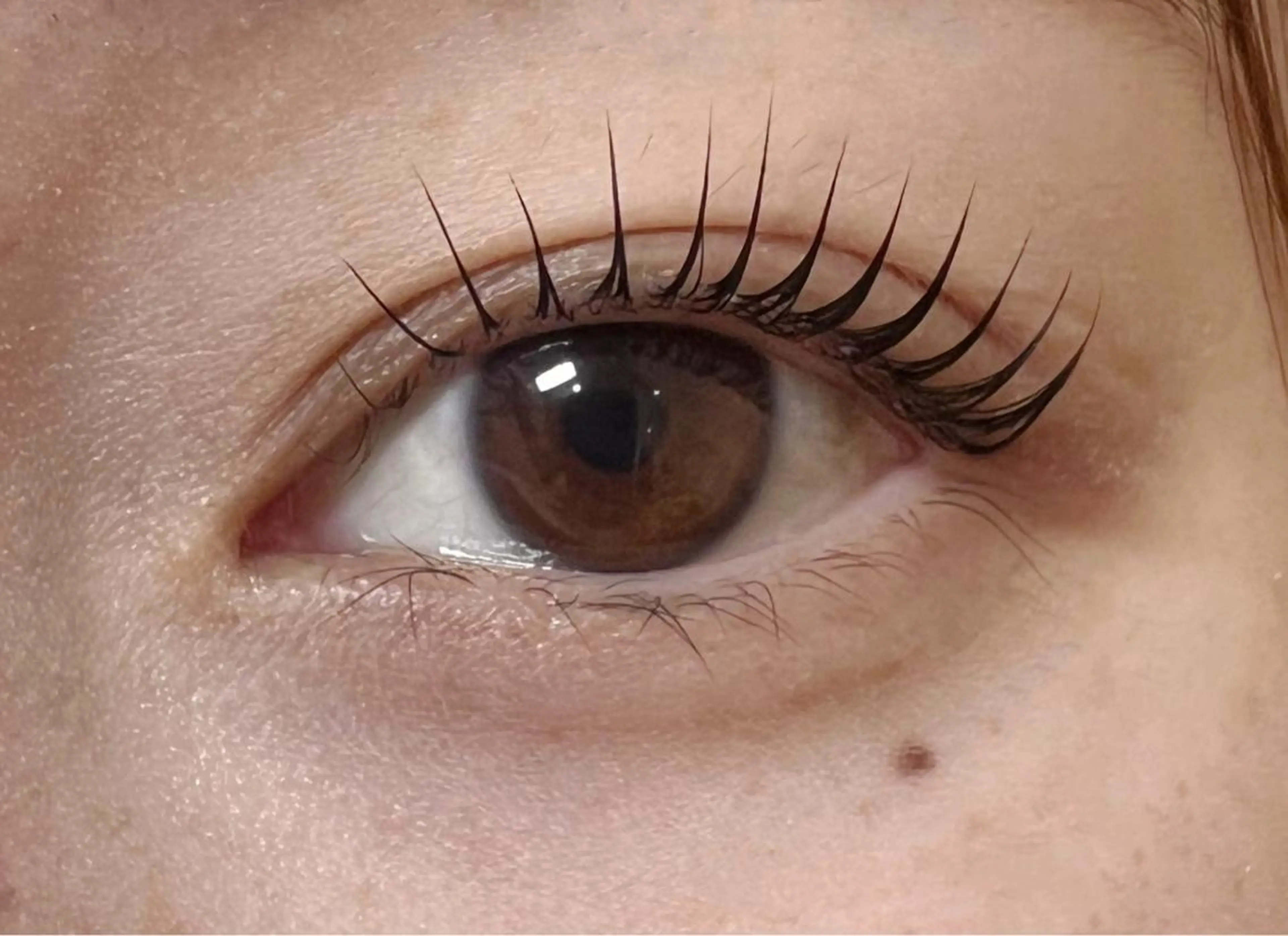 SHIORI指名🕊️リピーター様🌟パリジェンヌラッシュリフトの写真