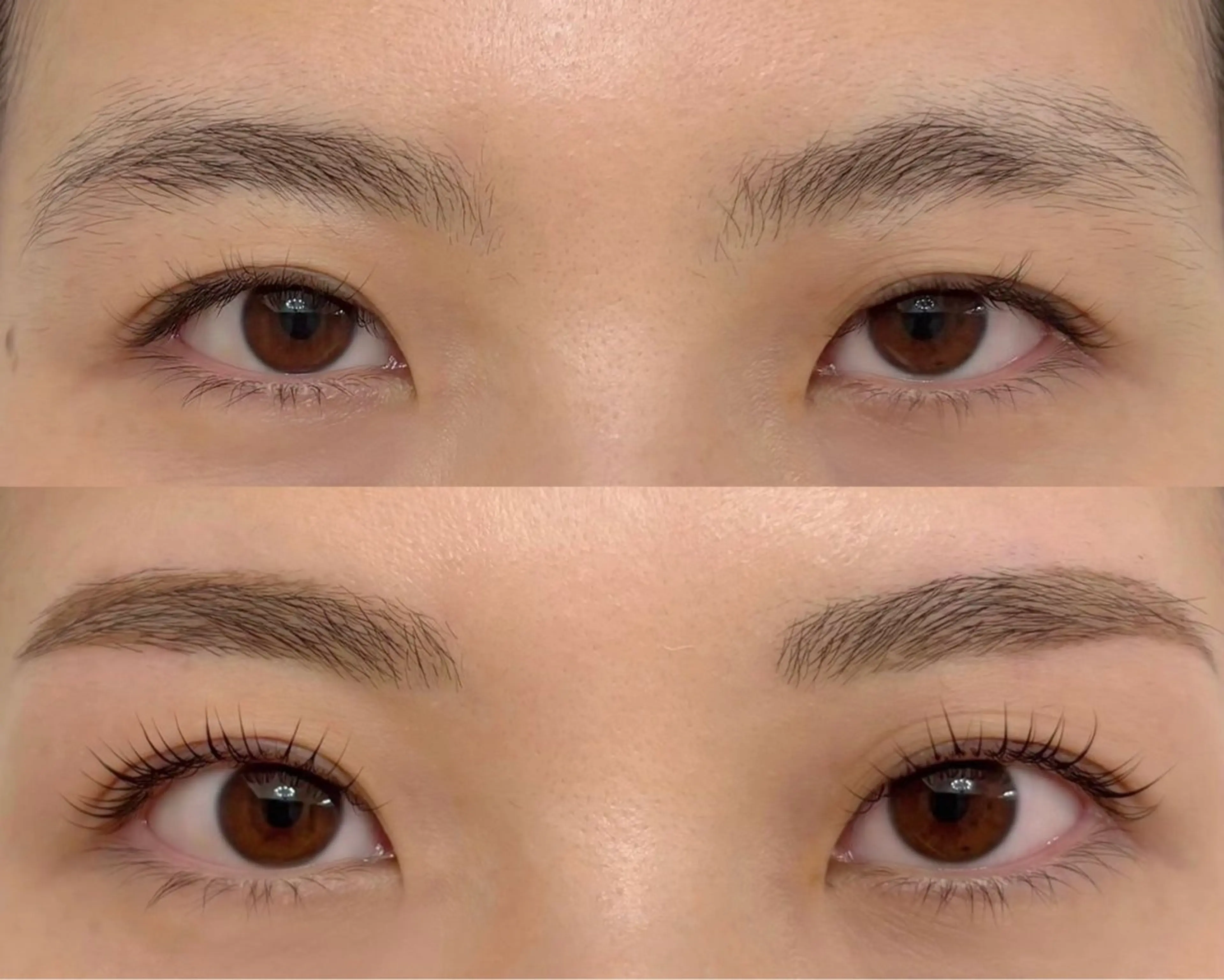 眉毛Wax スタイリング、お仕上げ付きの写真