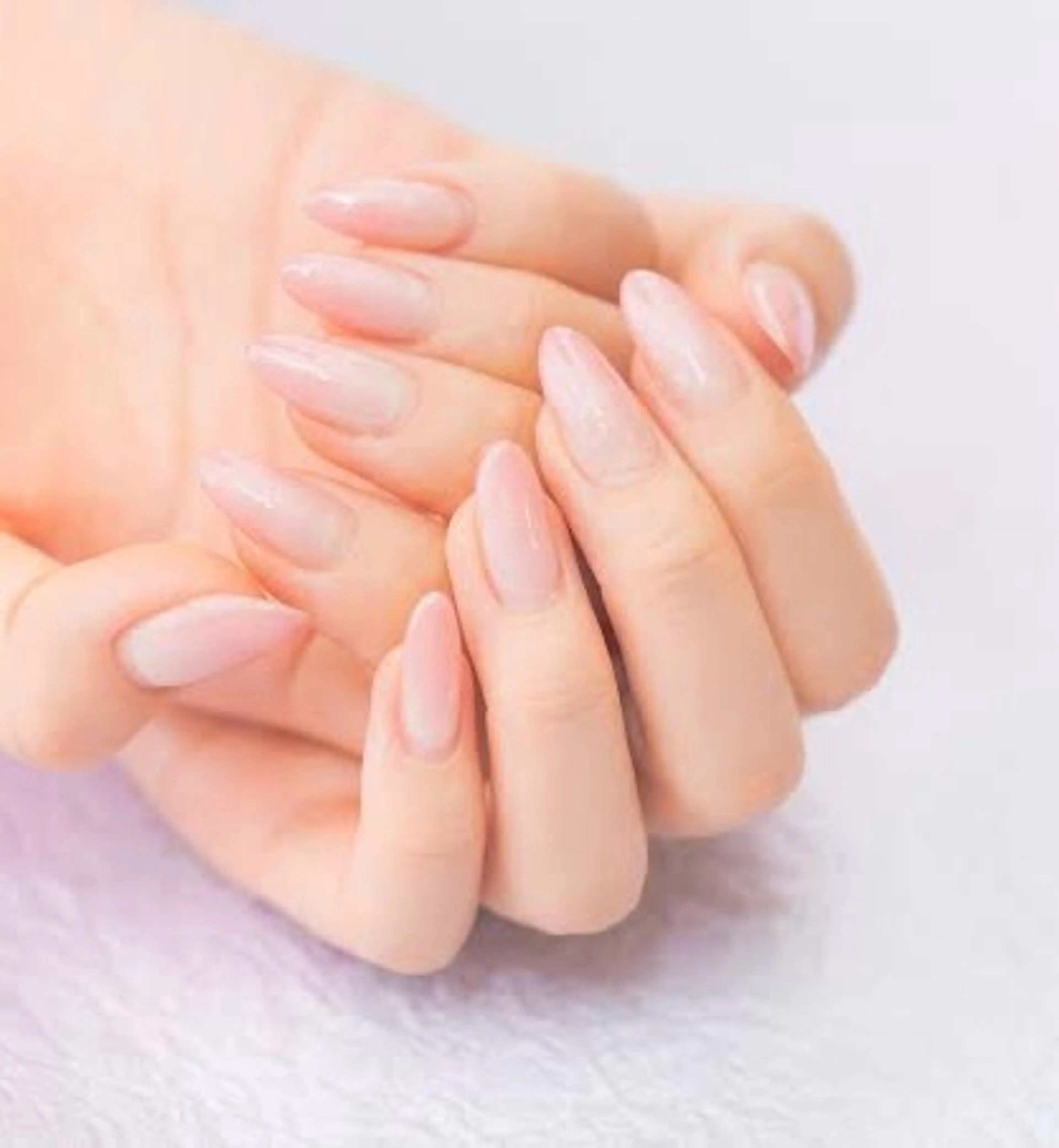 オフのみ（当店・他店）の写真