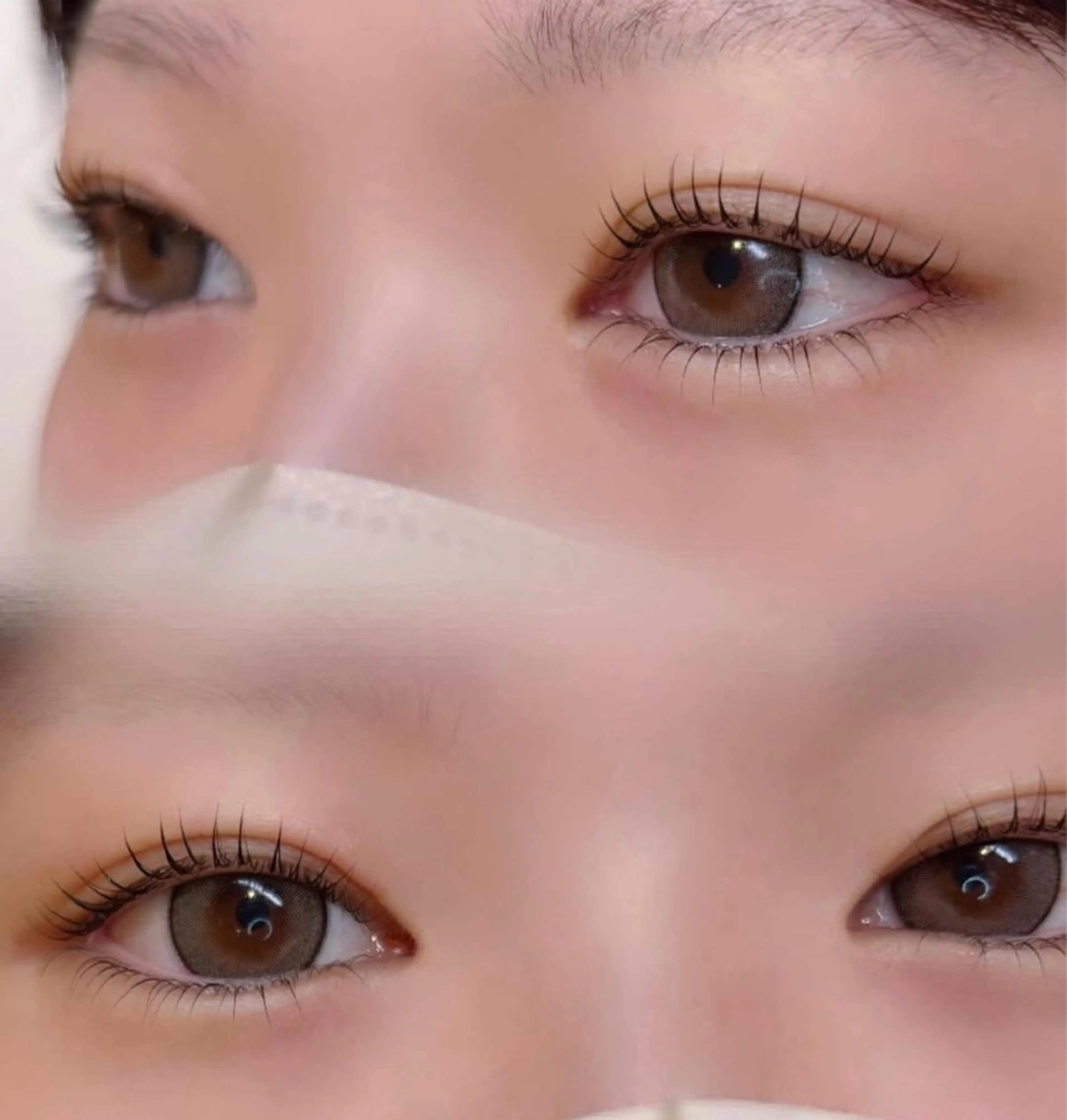 上下ラッシュリフトの写真