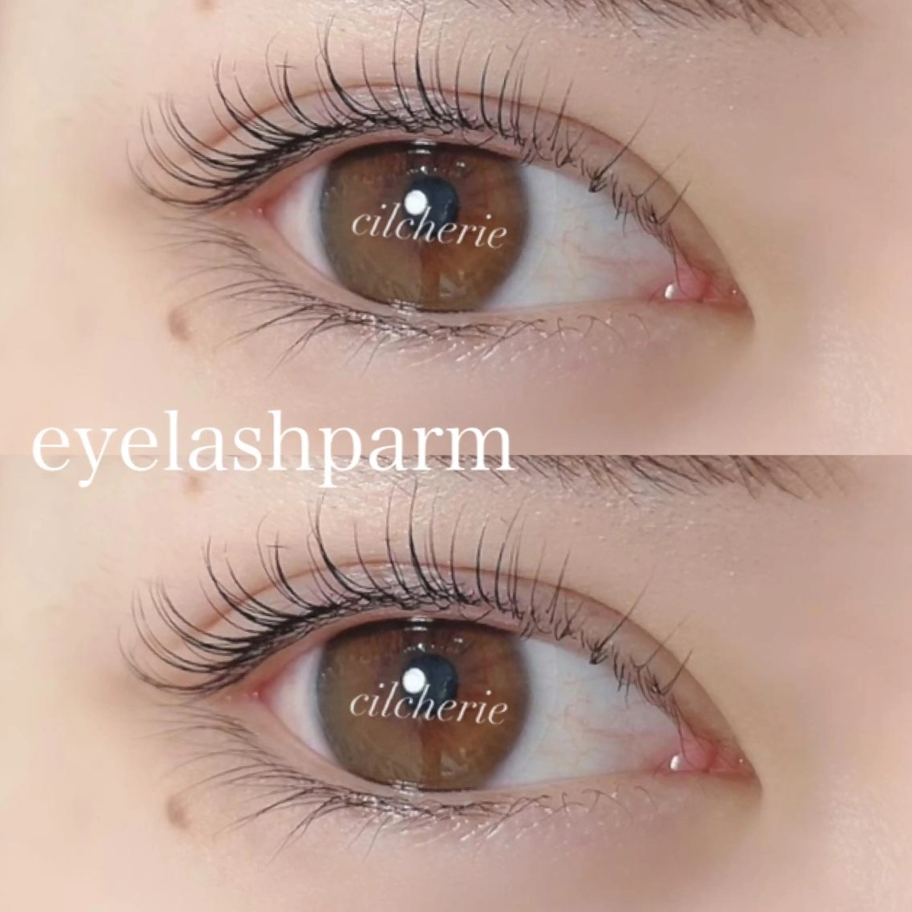 【ミニモ限定】次世代ナチュラルまつ毛パーマ❣️美容液コーティング付きの写真