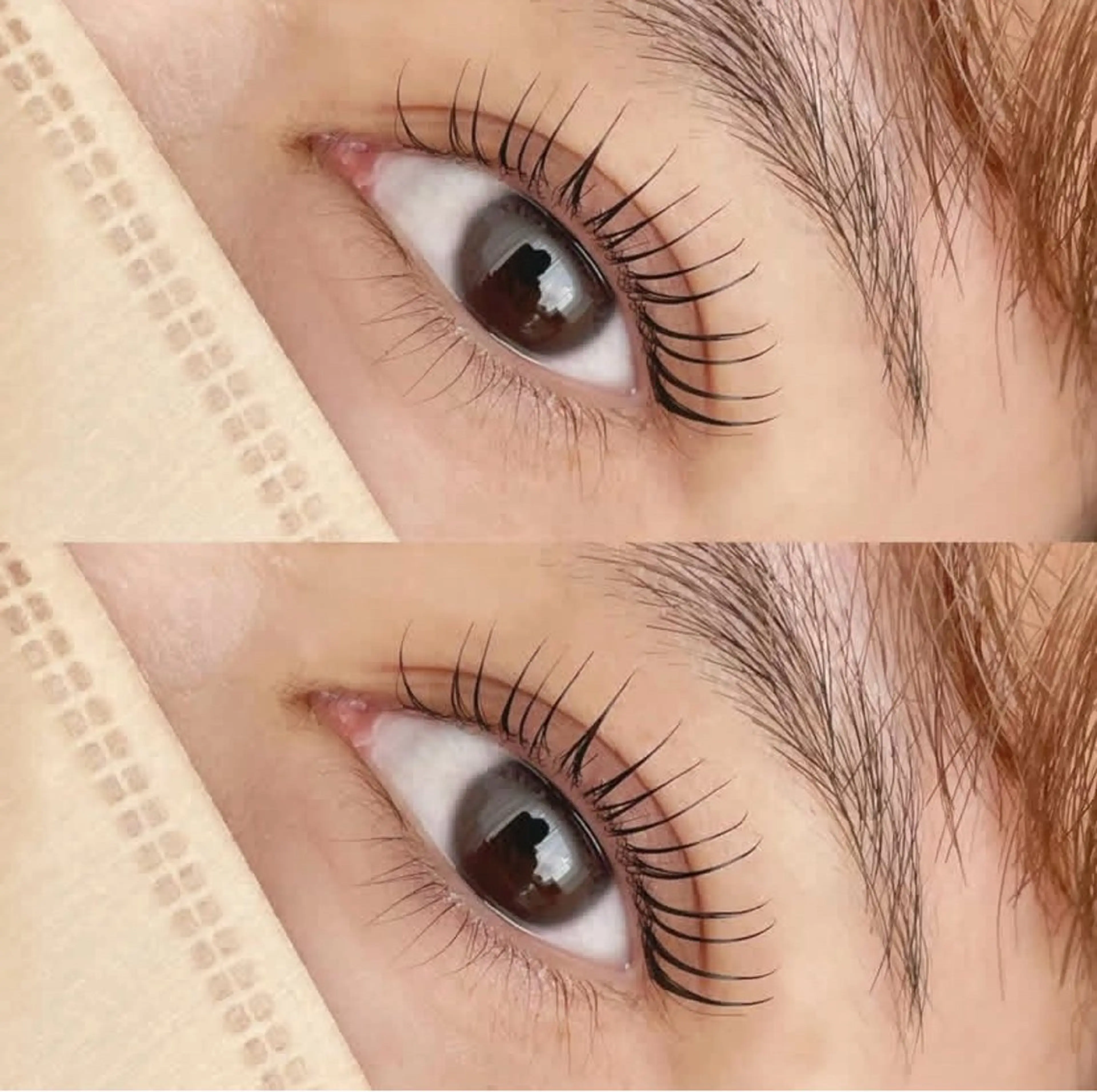 2/12 無料ラッシュリフトモデル募集!!の写真