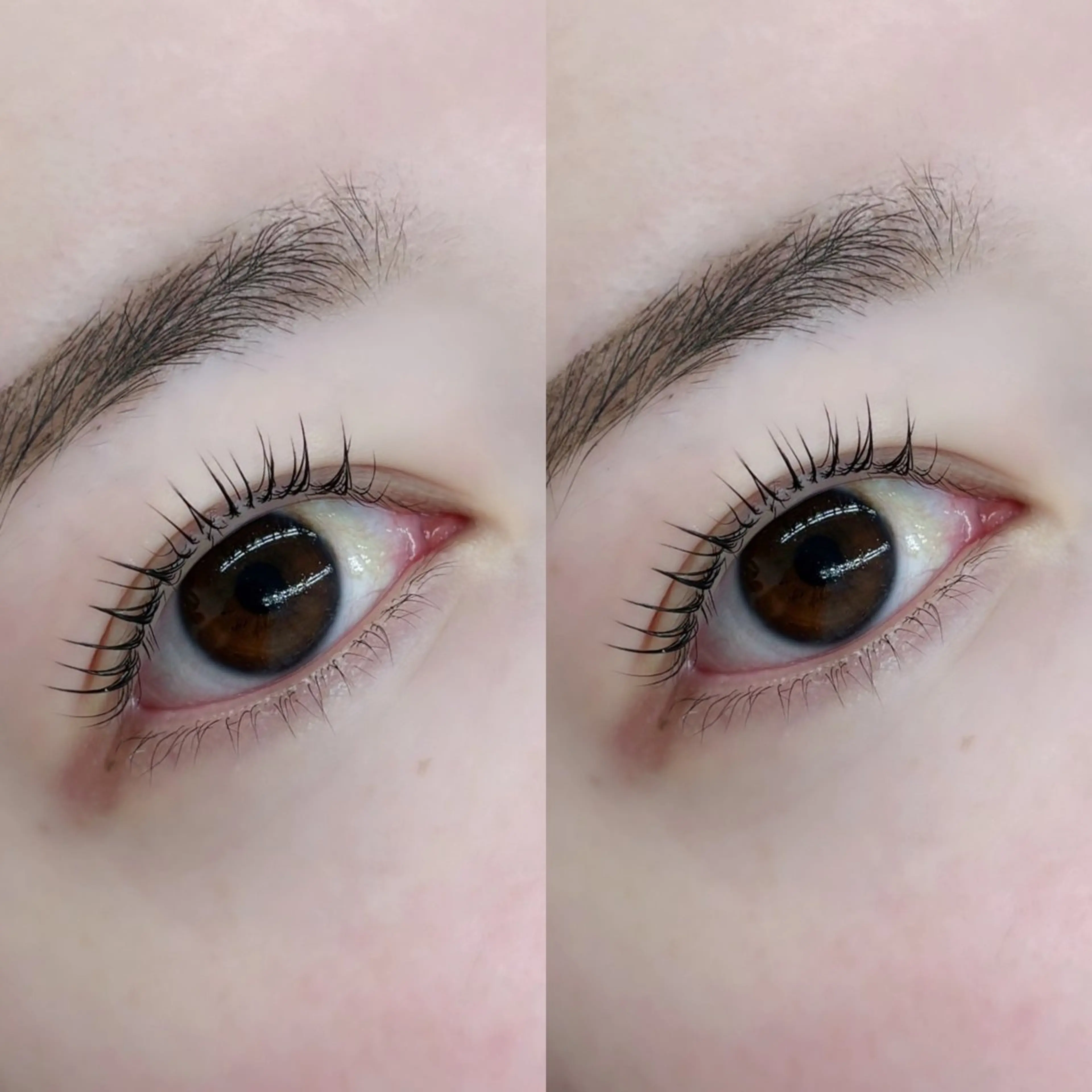 マツエク・マツパ TAKAHASHI 🎀✨韓国風/束感のマツエク・マツパデザイン