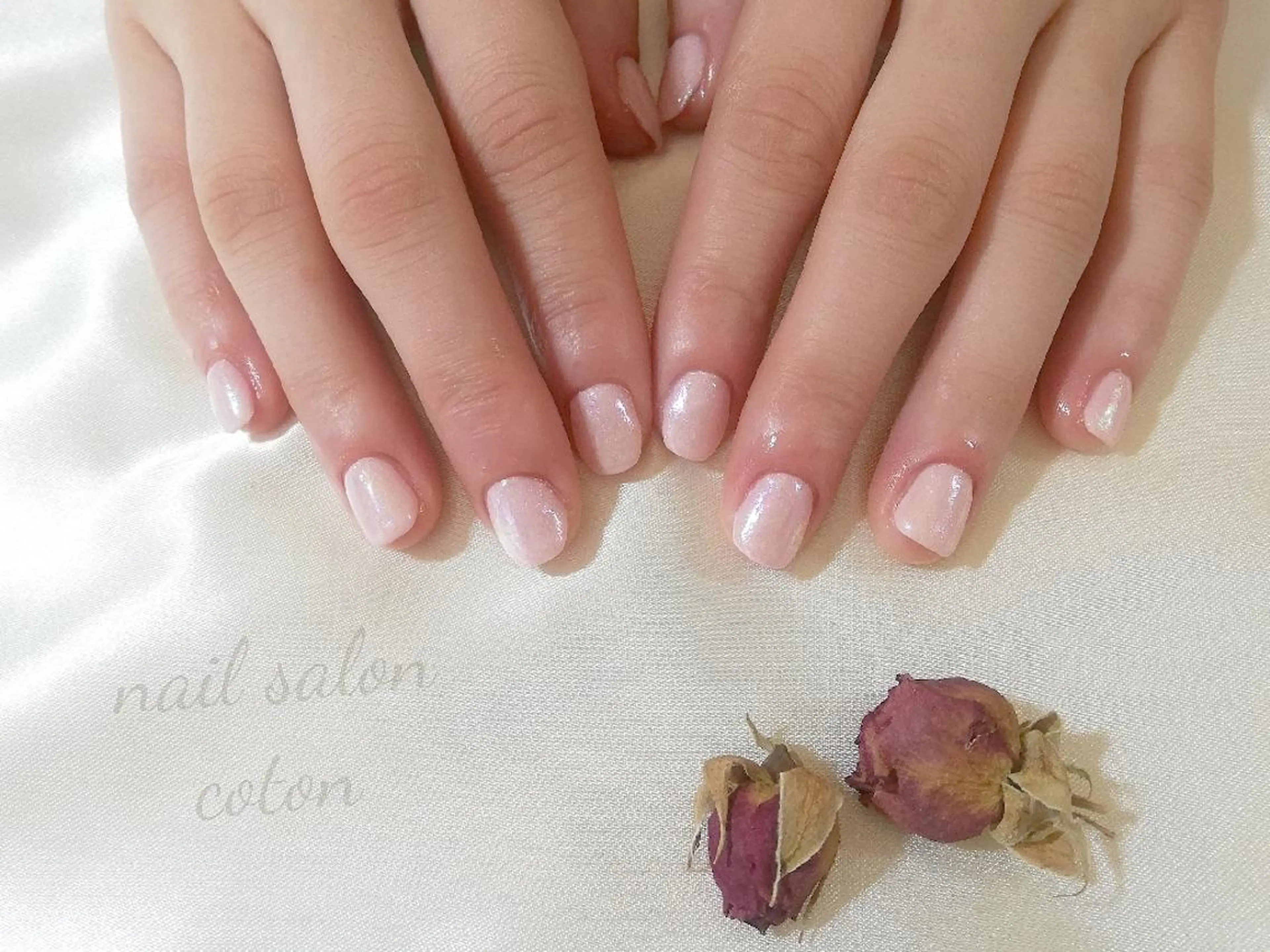 ネイル 🥀ネイルサロン cotonコトン🥀のネイルデザイン