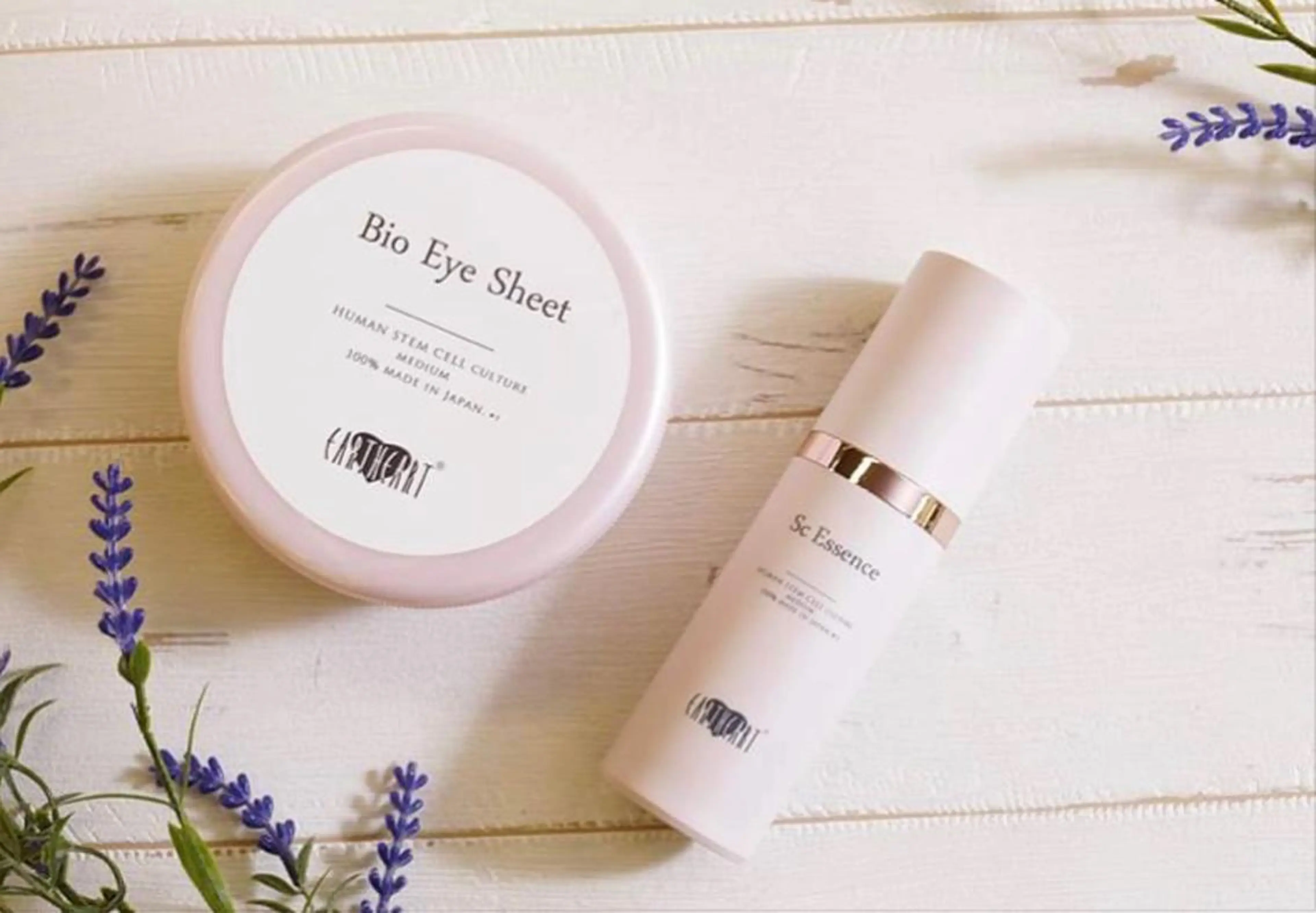 EARTH coiffure beaute 新潟紫竹山店所属・🤍アベシュリ /フェイシャル🤍のエステ・リラクイメージ