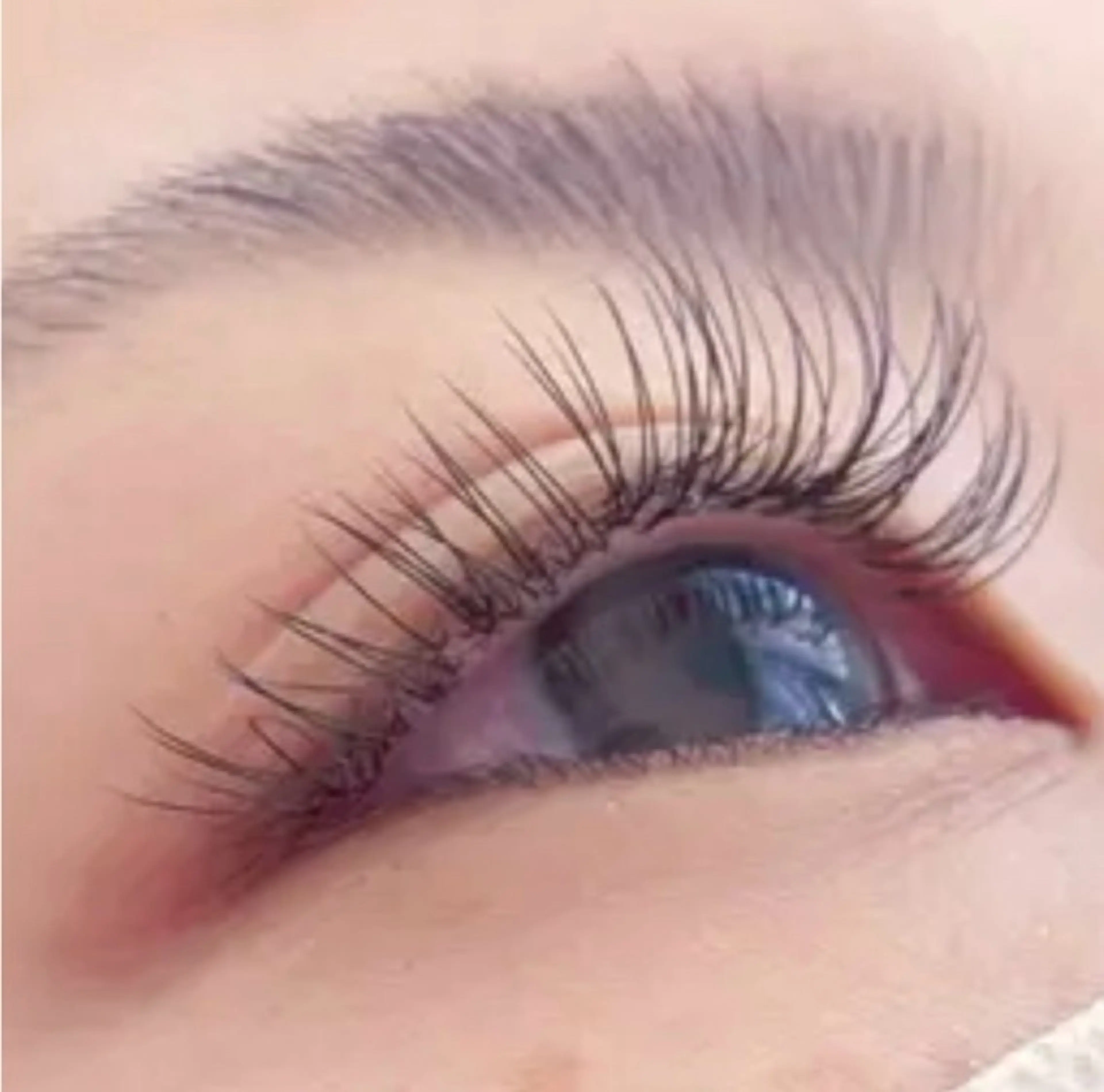 新規限定✨最軽量 LEDフラットラッシ100本✨アイパック+束感コテイング仕上がりの写真