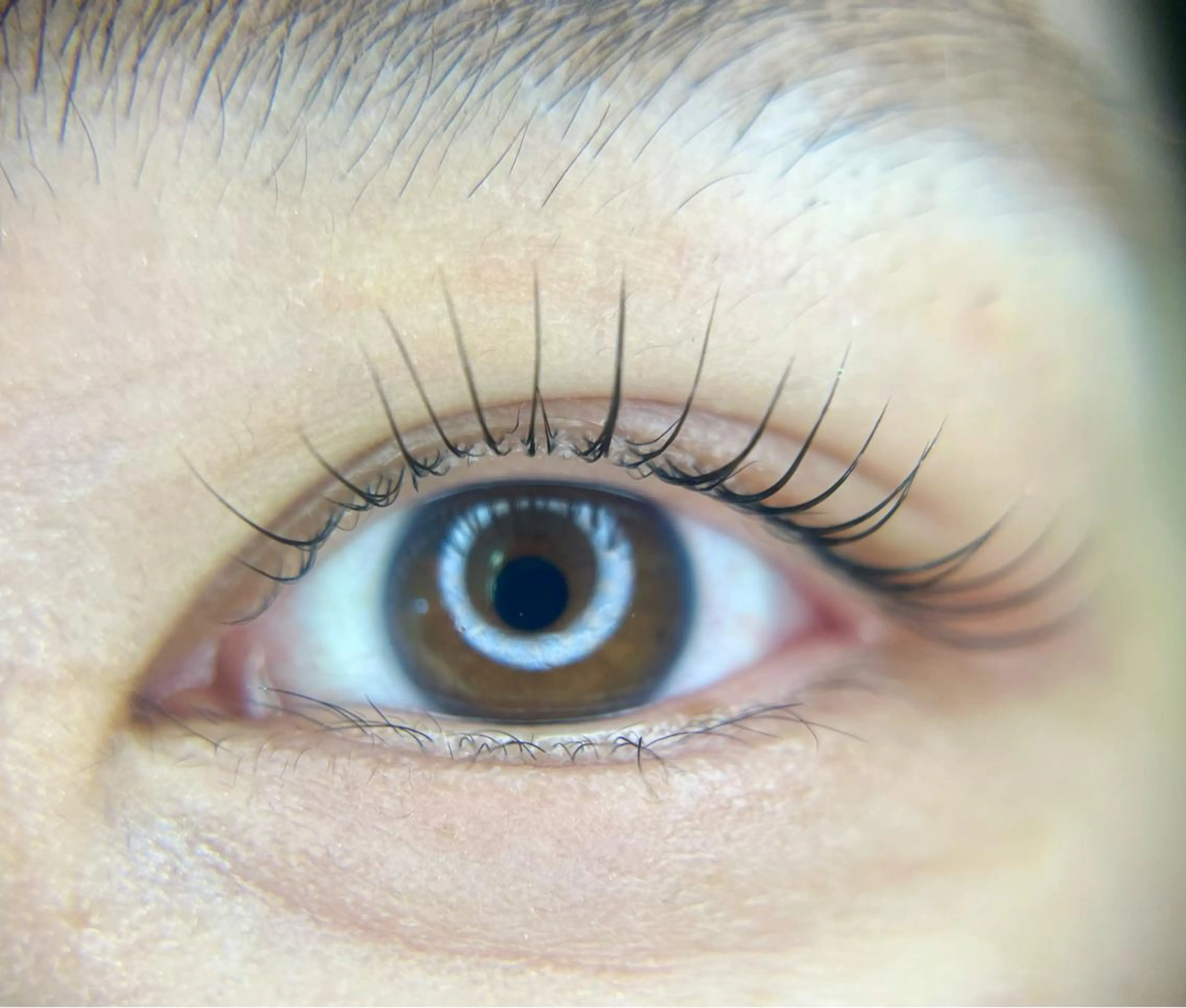 マツエク・マツパ マツパ －Ojiー セナのマツエク・マツパデザイン