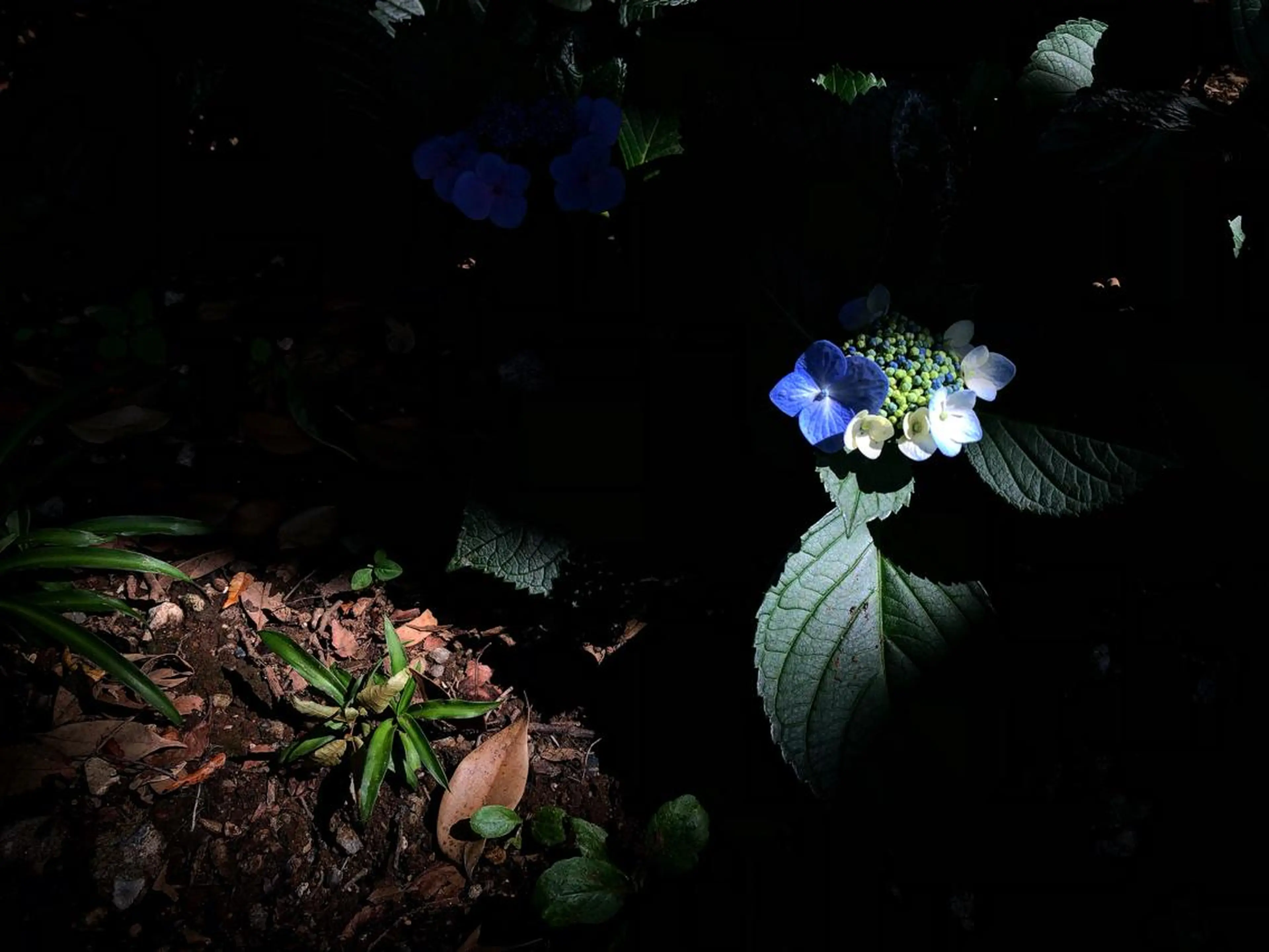 リラク basico  のエステ・リラクイメージ