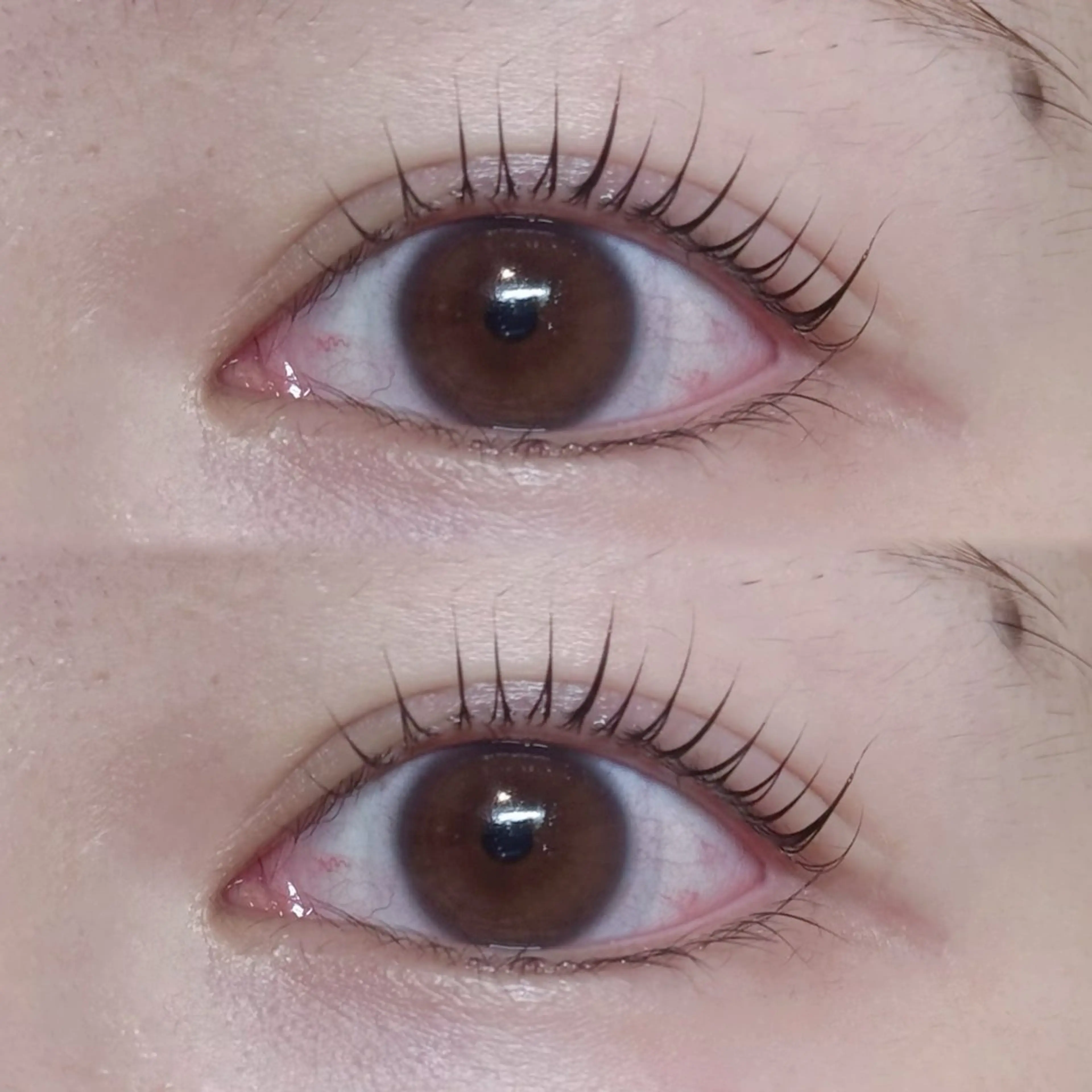 マツエク・マツパ パリジェンヌラッシュリフト マツパ ayaha ⌇angelicaのマツエク・マツパデザイン