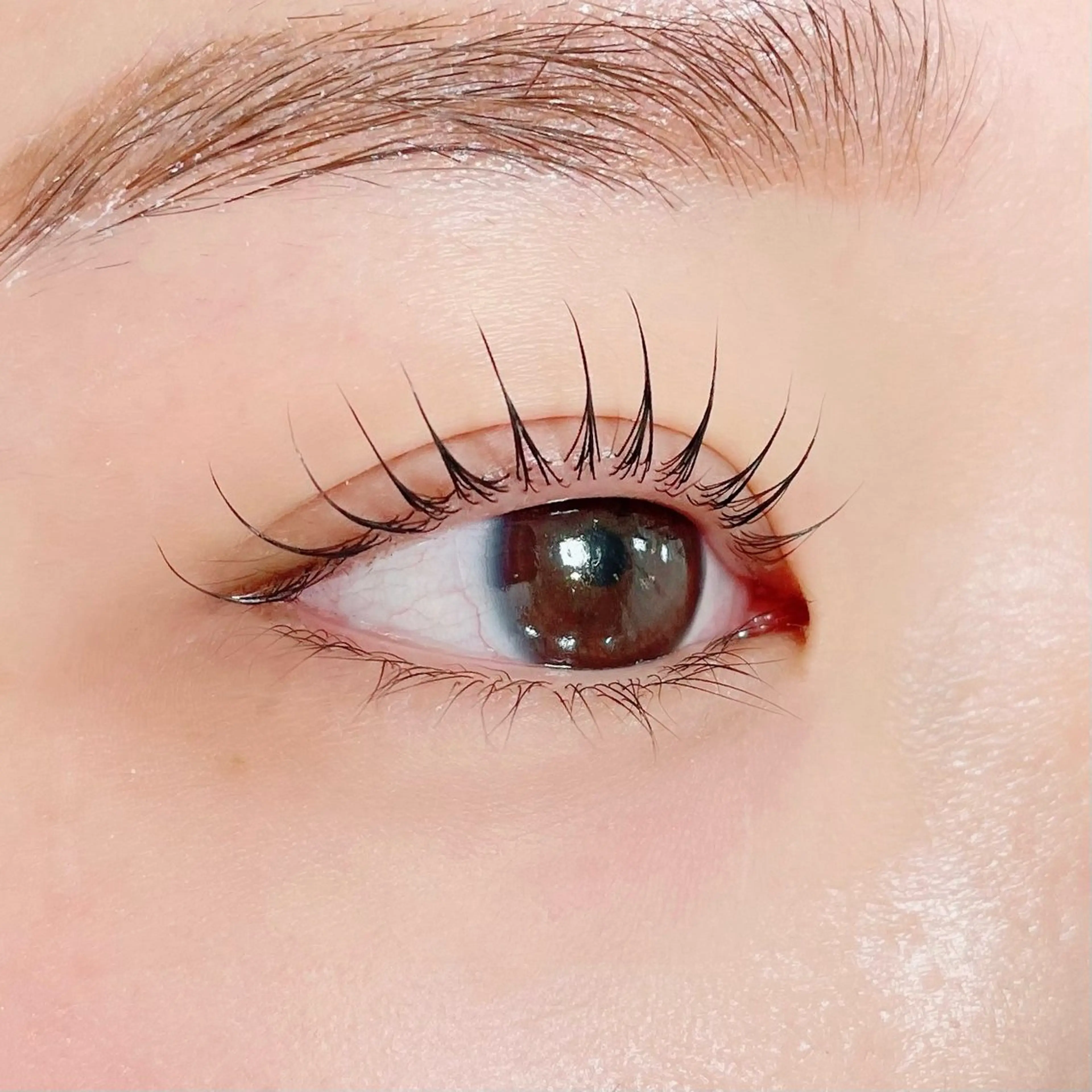 マツエク・マツパ 韓国風マツエク Odile Total beauty salon所属・Odile代表🪽 NANAKOのエステ・リラクイメージ