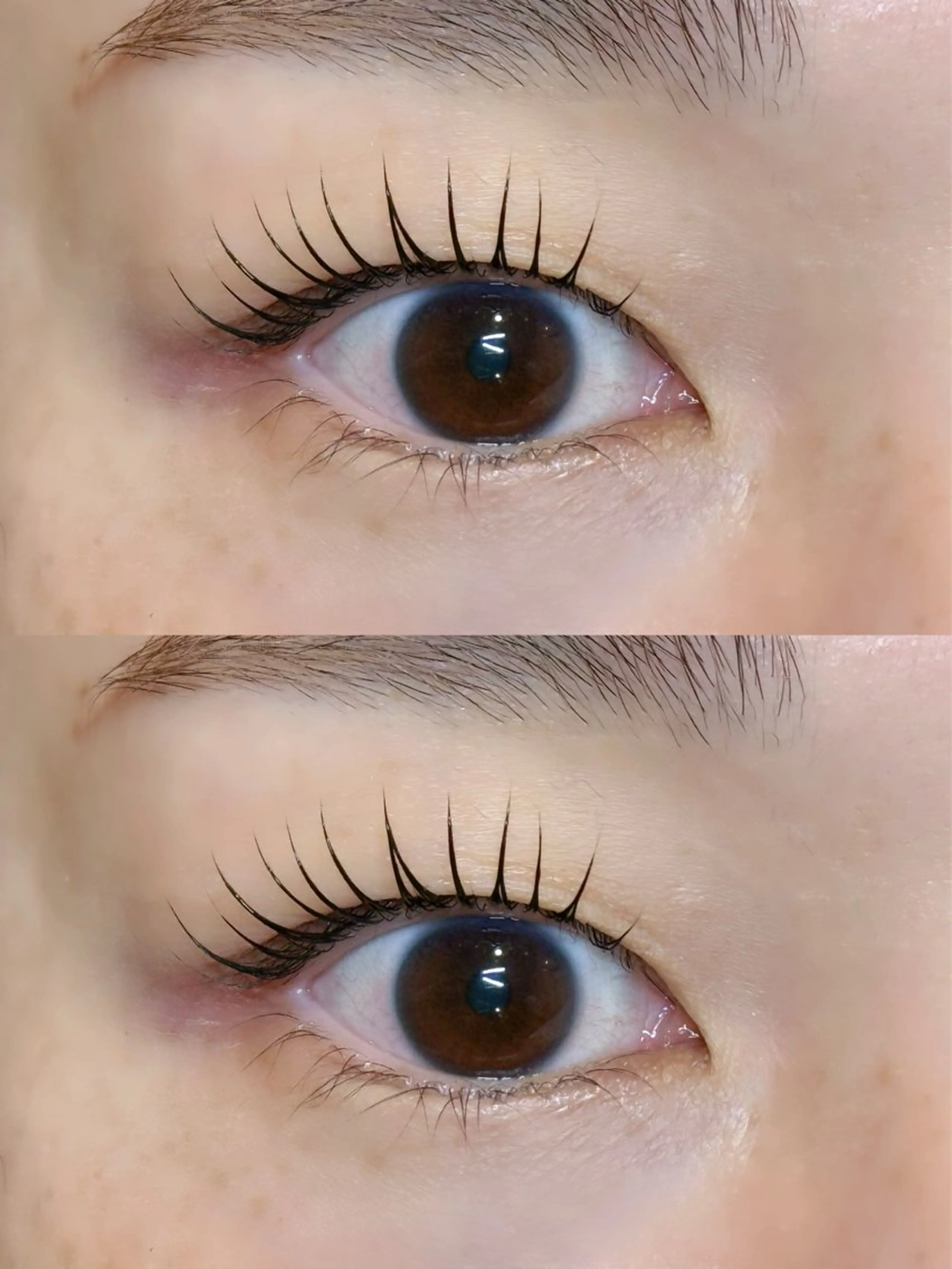 ãããšã¯ã»ããã ããã ðð¢ð ð¡ð yuzukið«§ã®ãããšã¯ã»ããããã¶ã€ã³