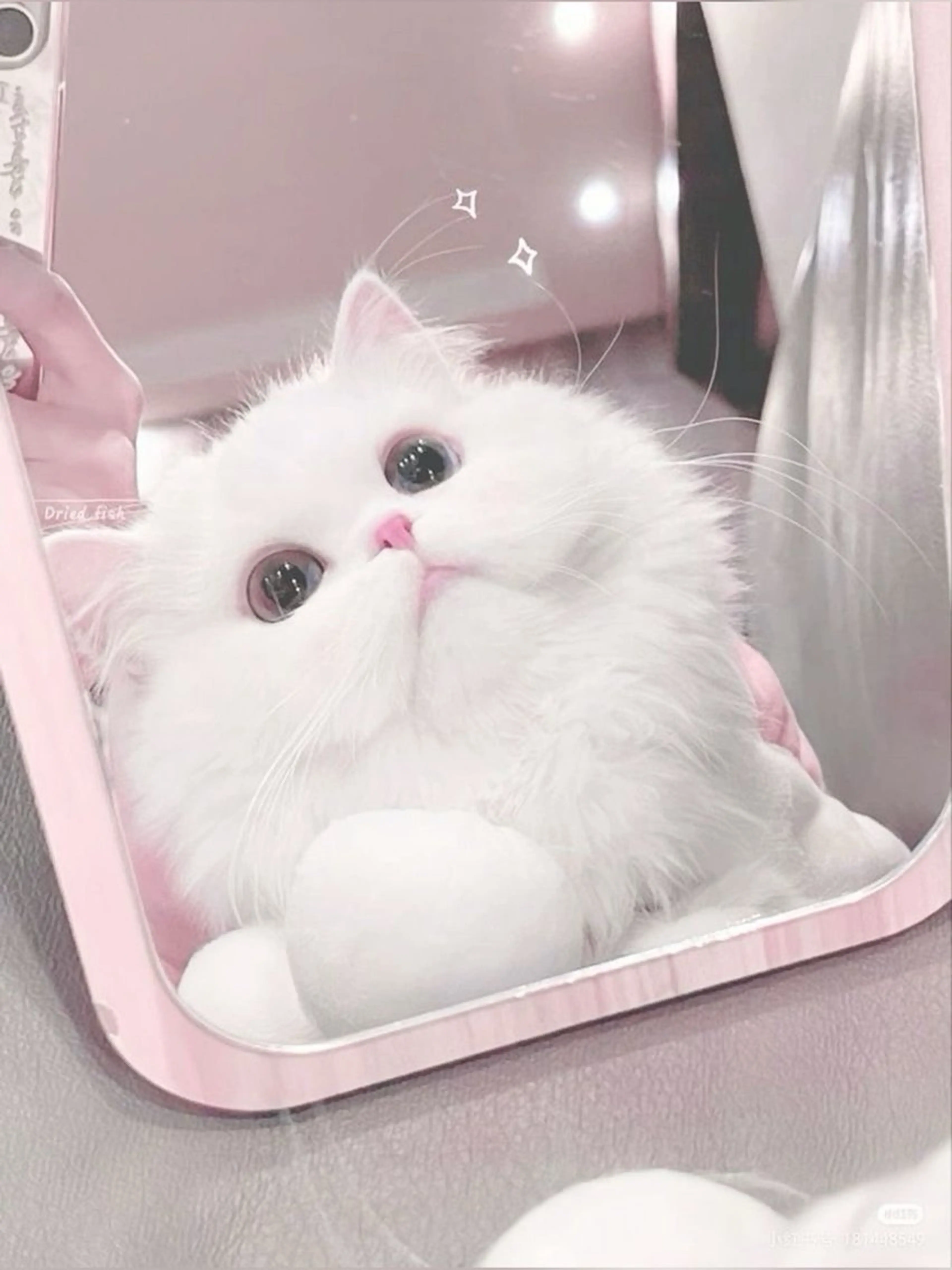 マツエク・マツパ eyelist. mizuki🐈‍⬛のマツエク・マツパデザイン